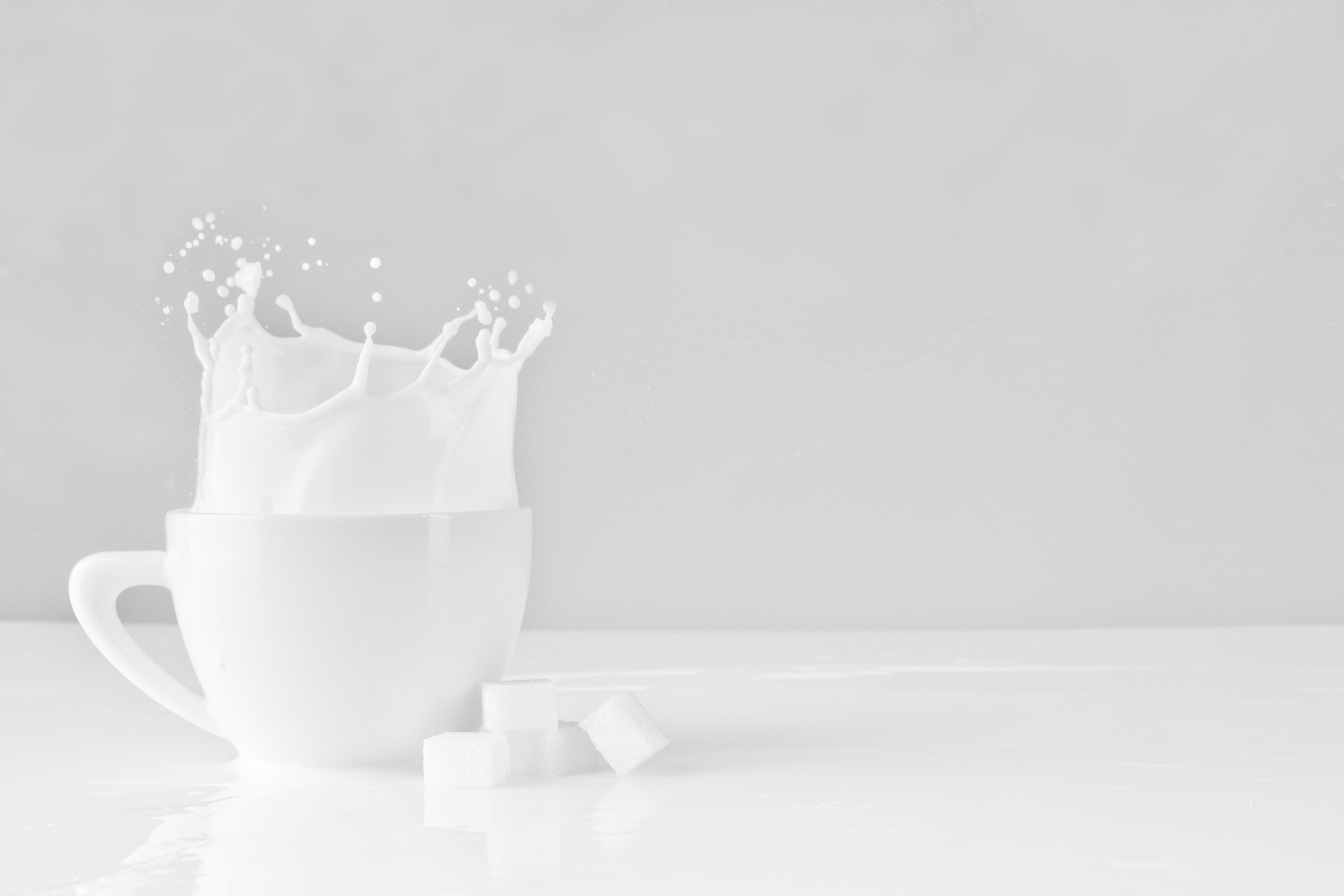 White cup with milk splash and sugar cubes HD Wallpaper