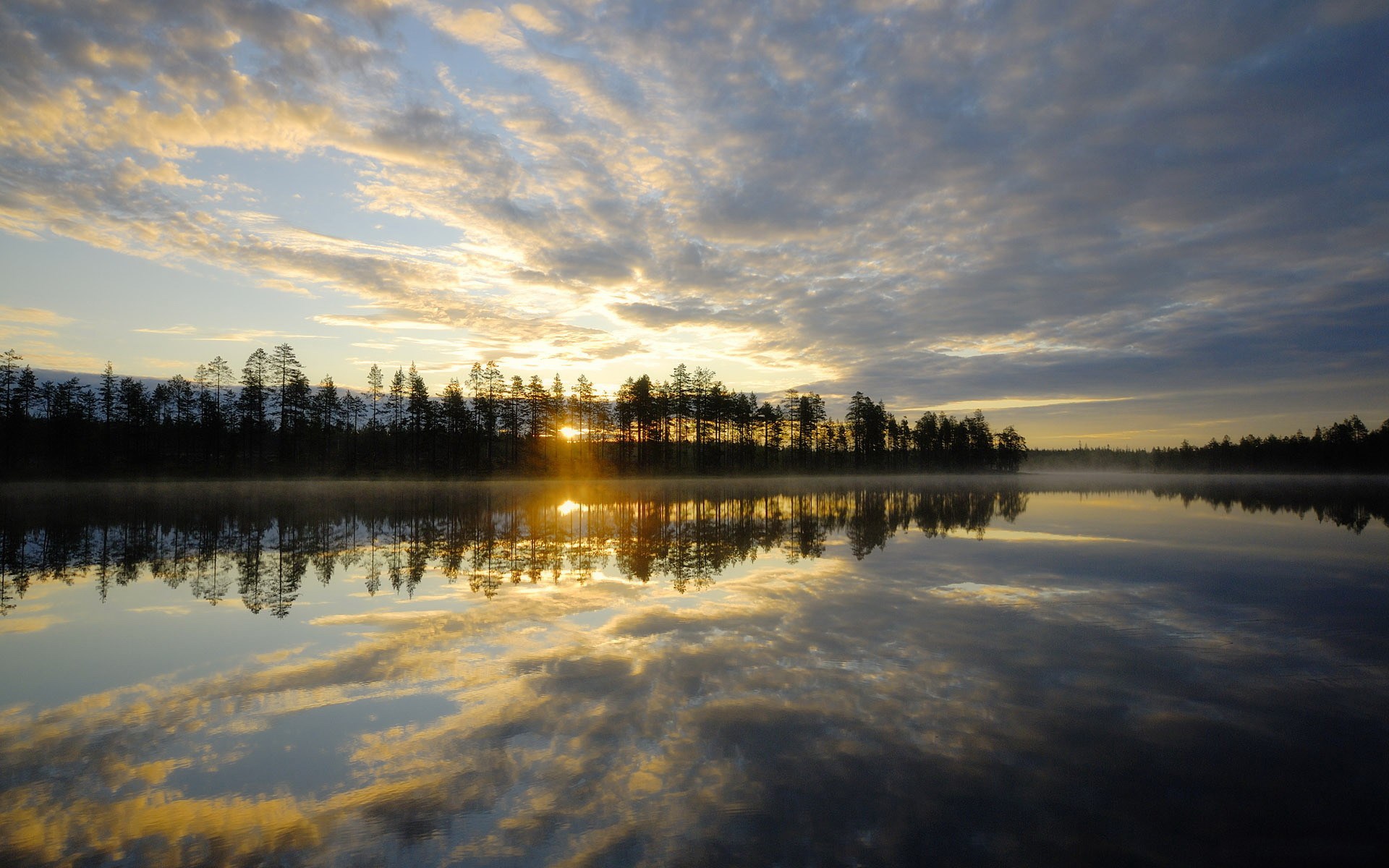 Sunrise over a misty lake with forest reflection HD Wallpaper