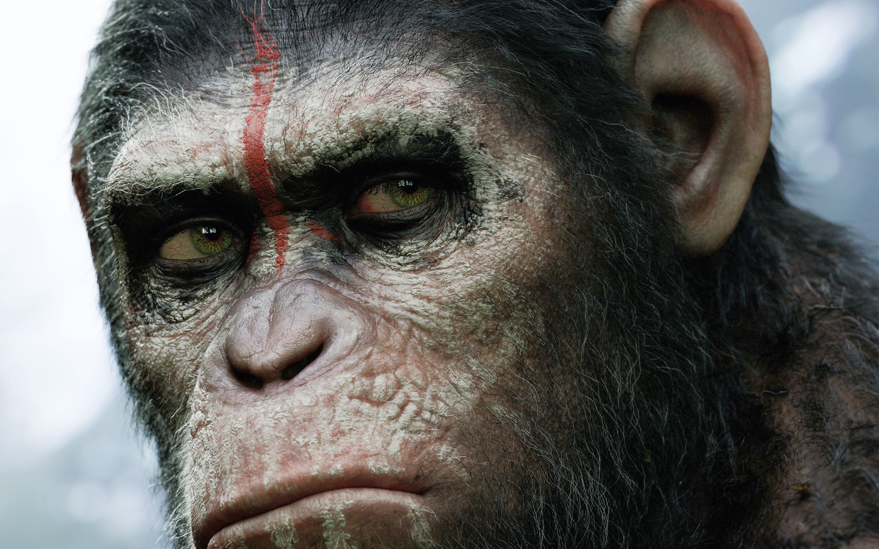 Caesar from Dawn of the Planet of the Apes HD Wallpaper