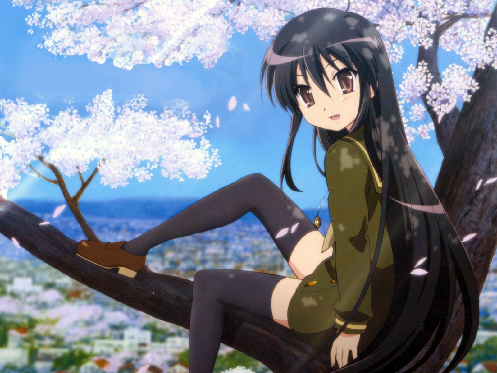 Shana from Shakugan no Shana sitting on a tree branch HD Wallpaper