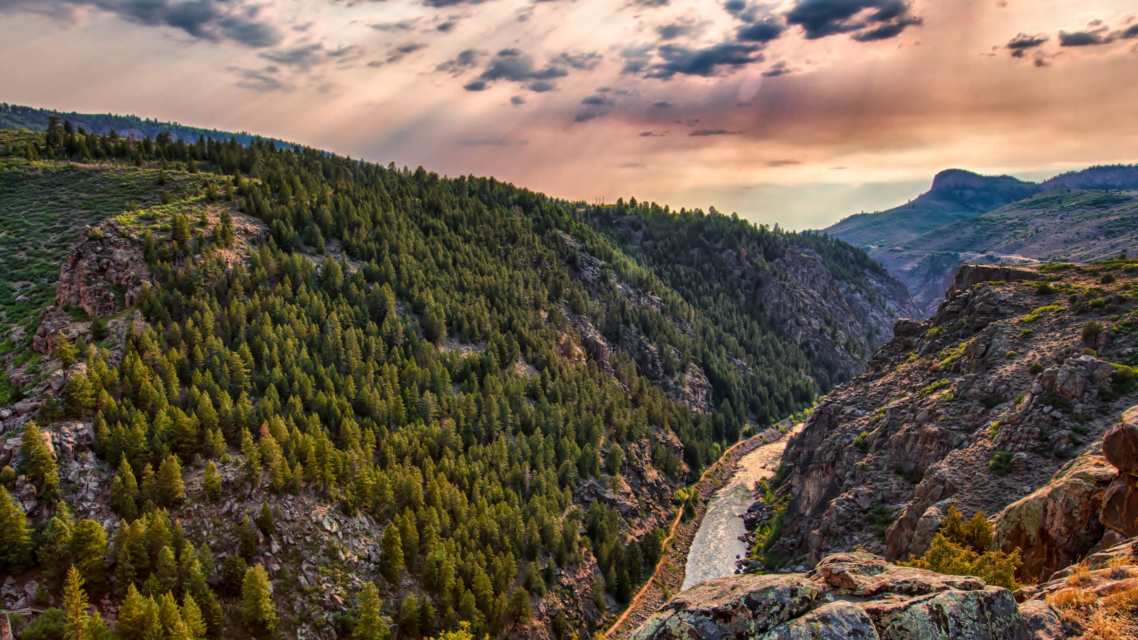 Mountain valley with river and pine forest HD Wallpaper