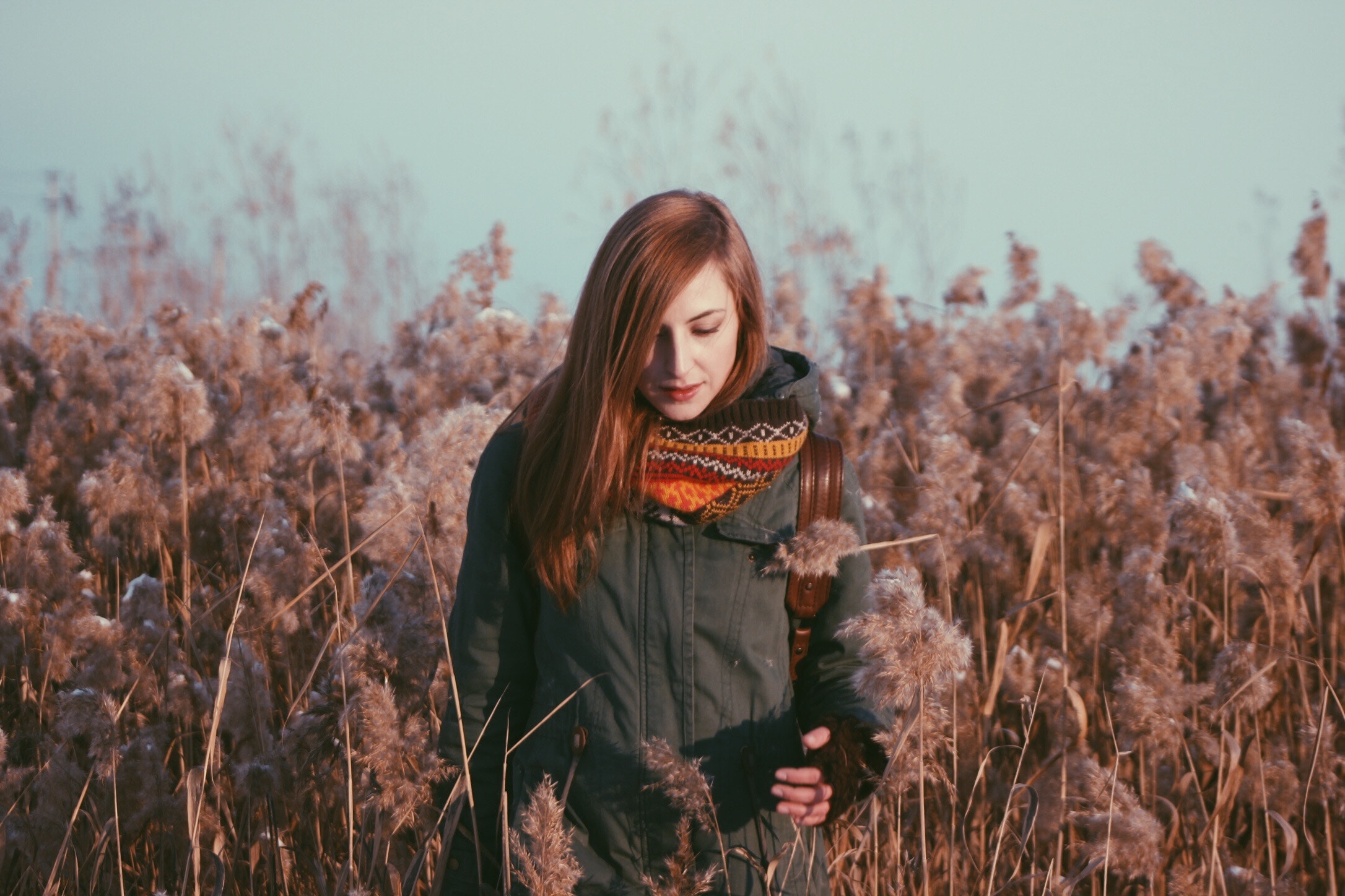 Woman with red hair in a field of tall grass HD Wallpaper