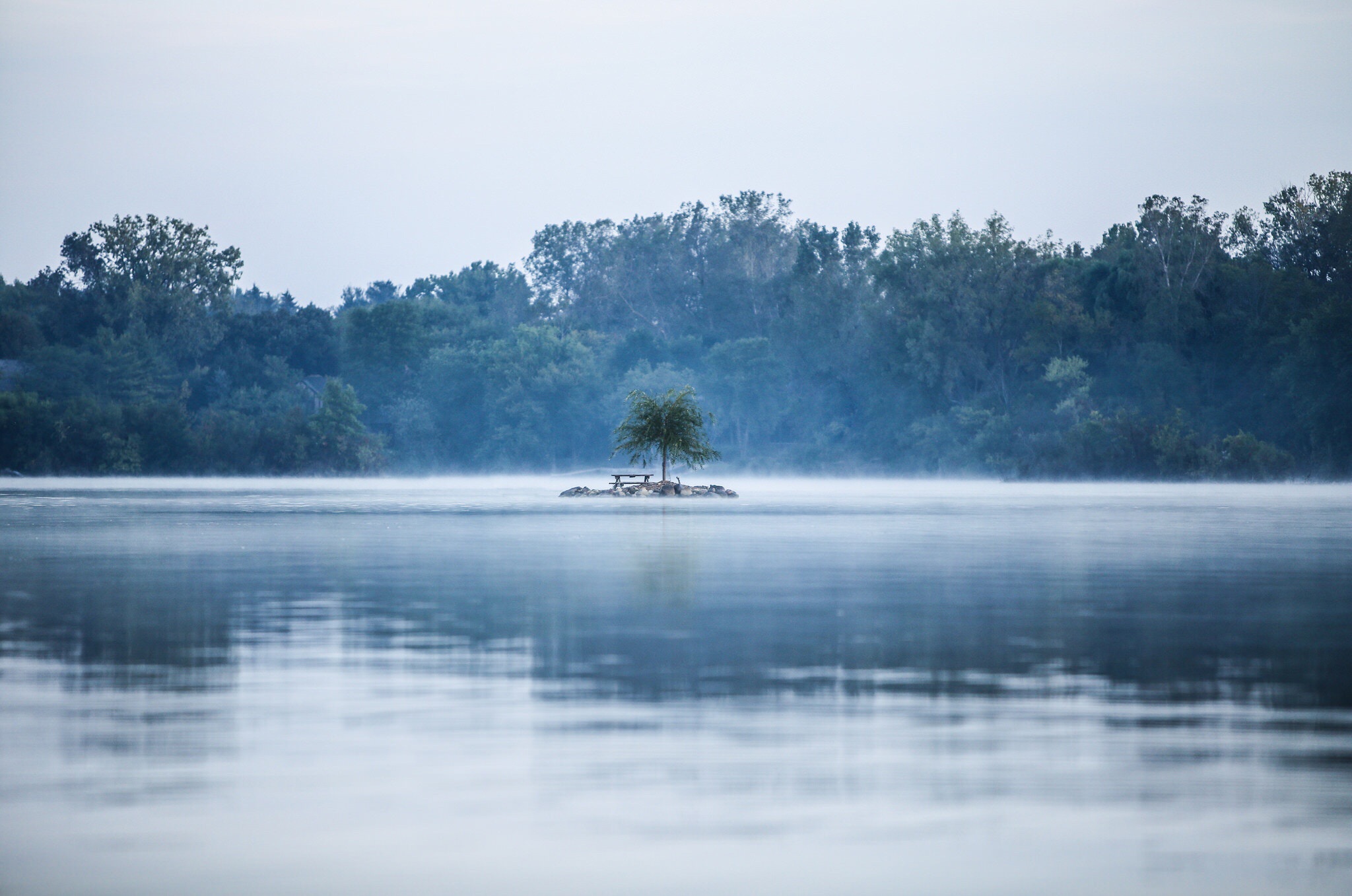 Misty lake with a lone tree on a small island HD Wallpaper