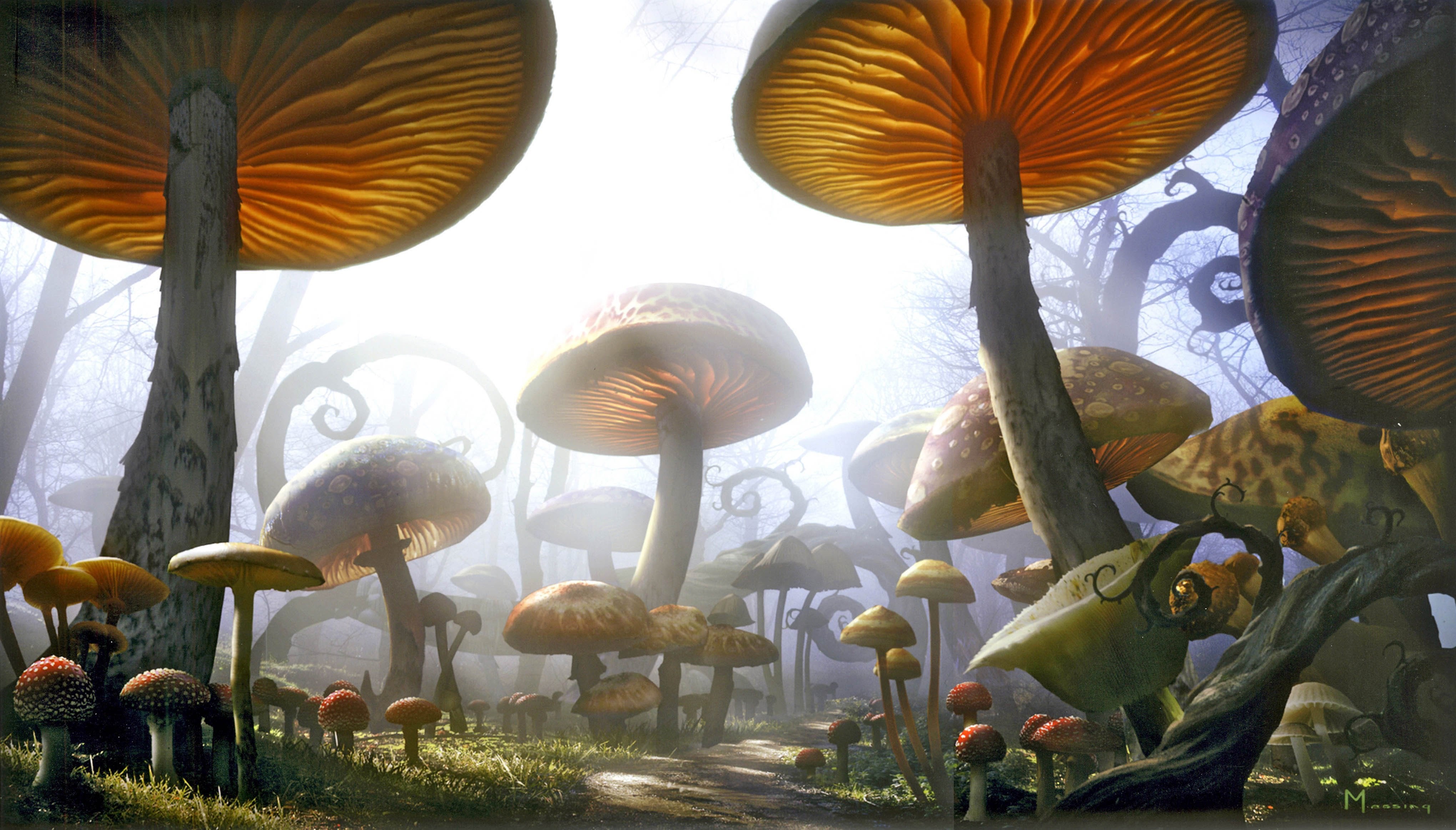 Alice in Wonderland 2010 Mushrooms HD Wallpaper