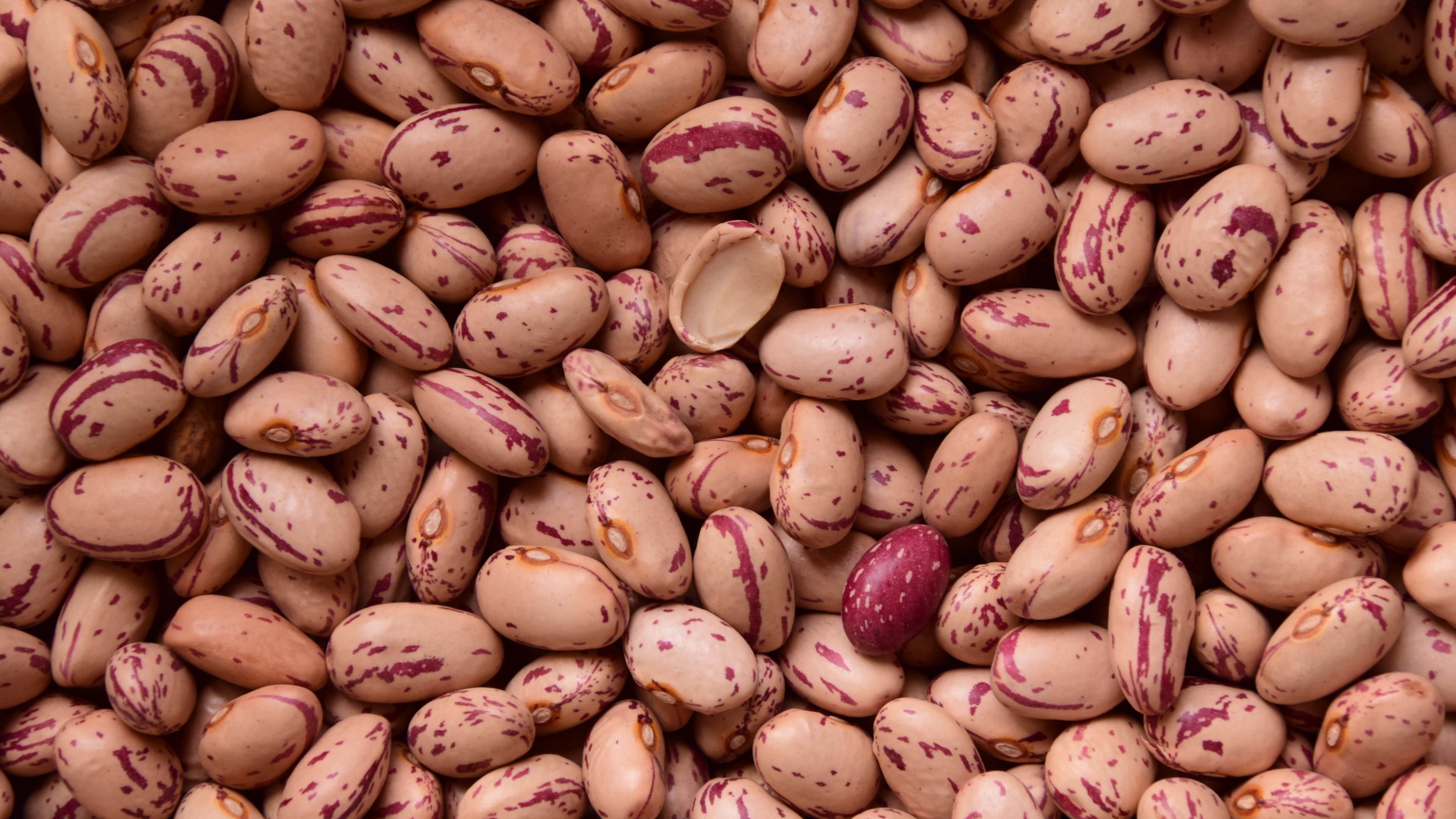 Pinto Beans Close-up HD Wallpaper