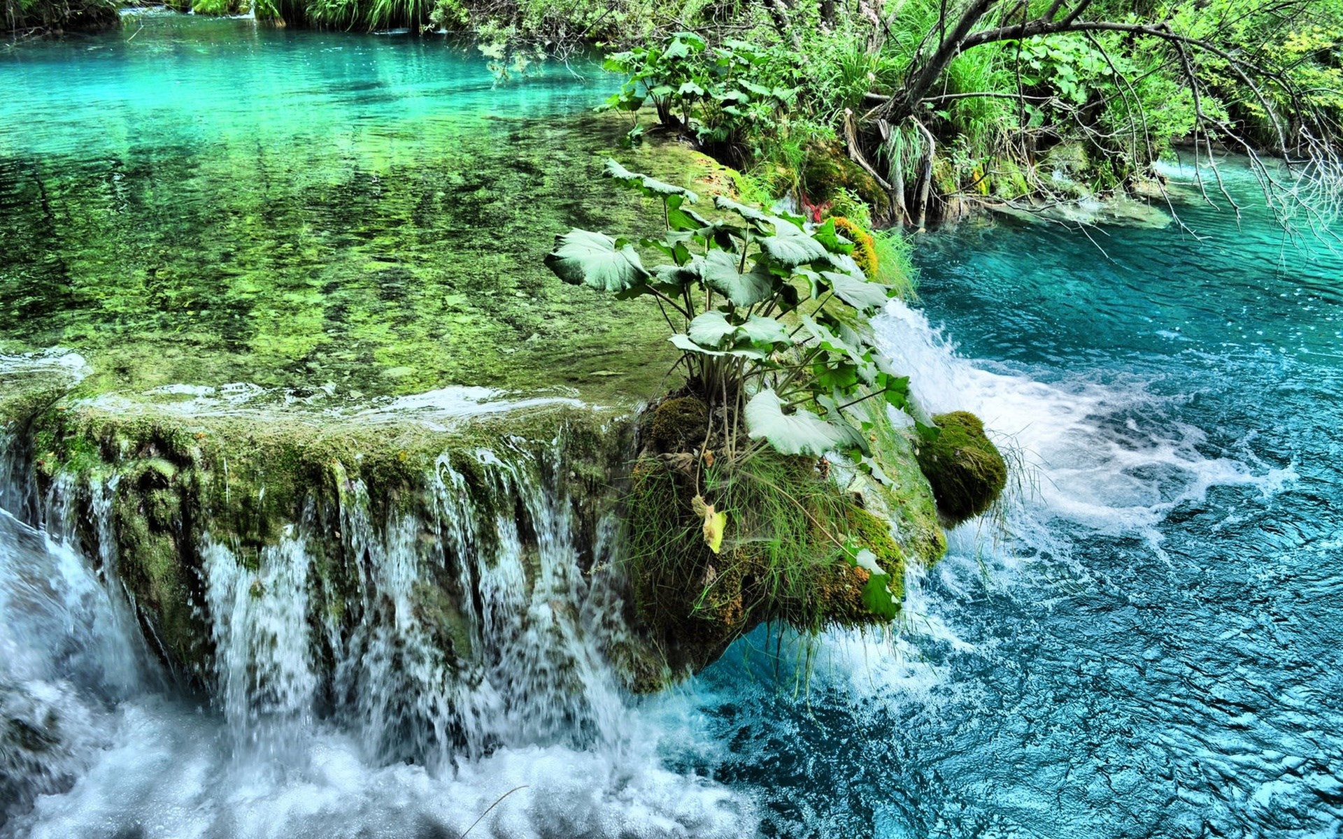 Turquoise waterfall cascading over mossy rocks HD Wallpaper
