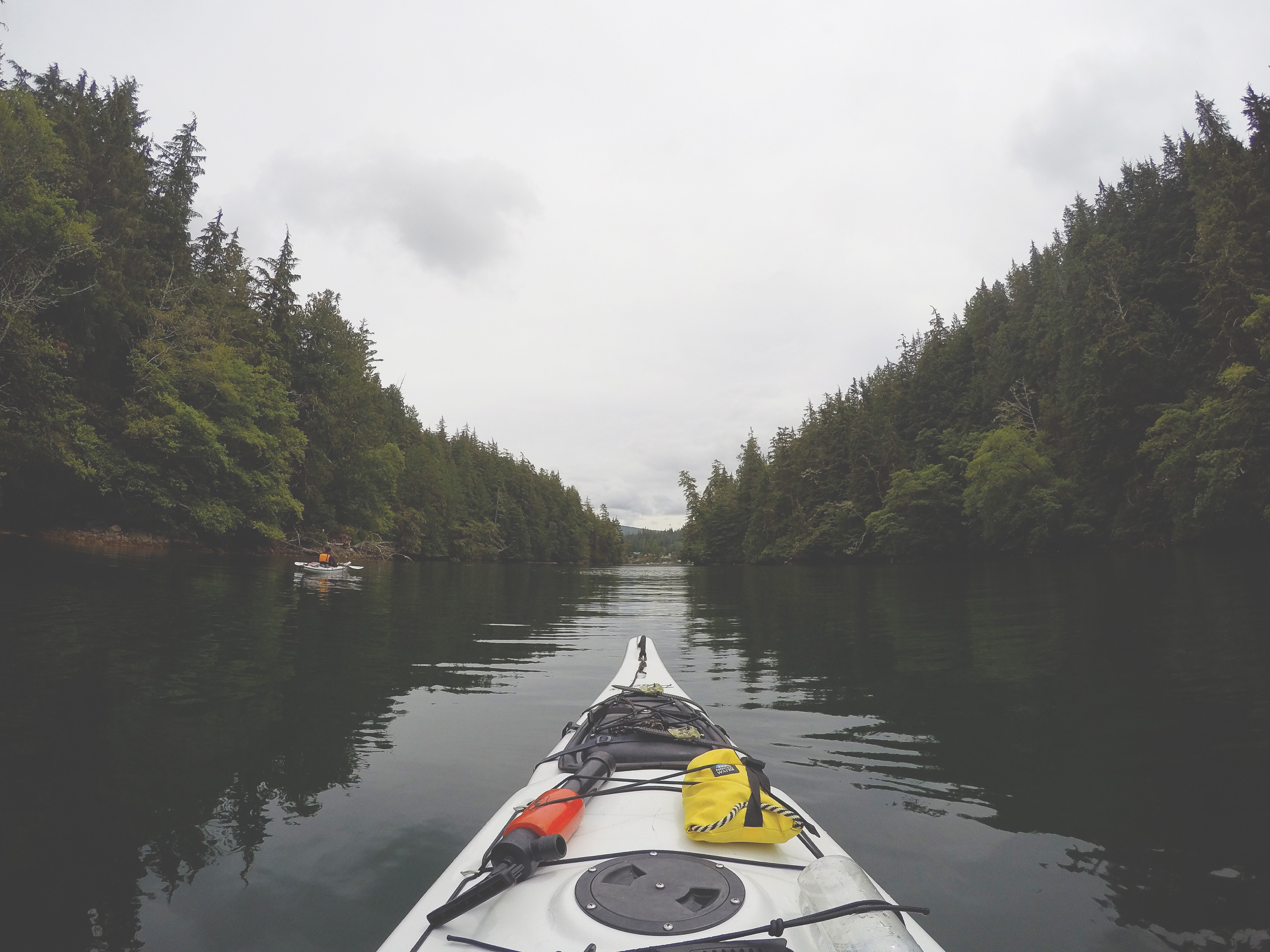 Kayaking through a forest on a cloudy day HD Wallpaper