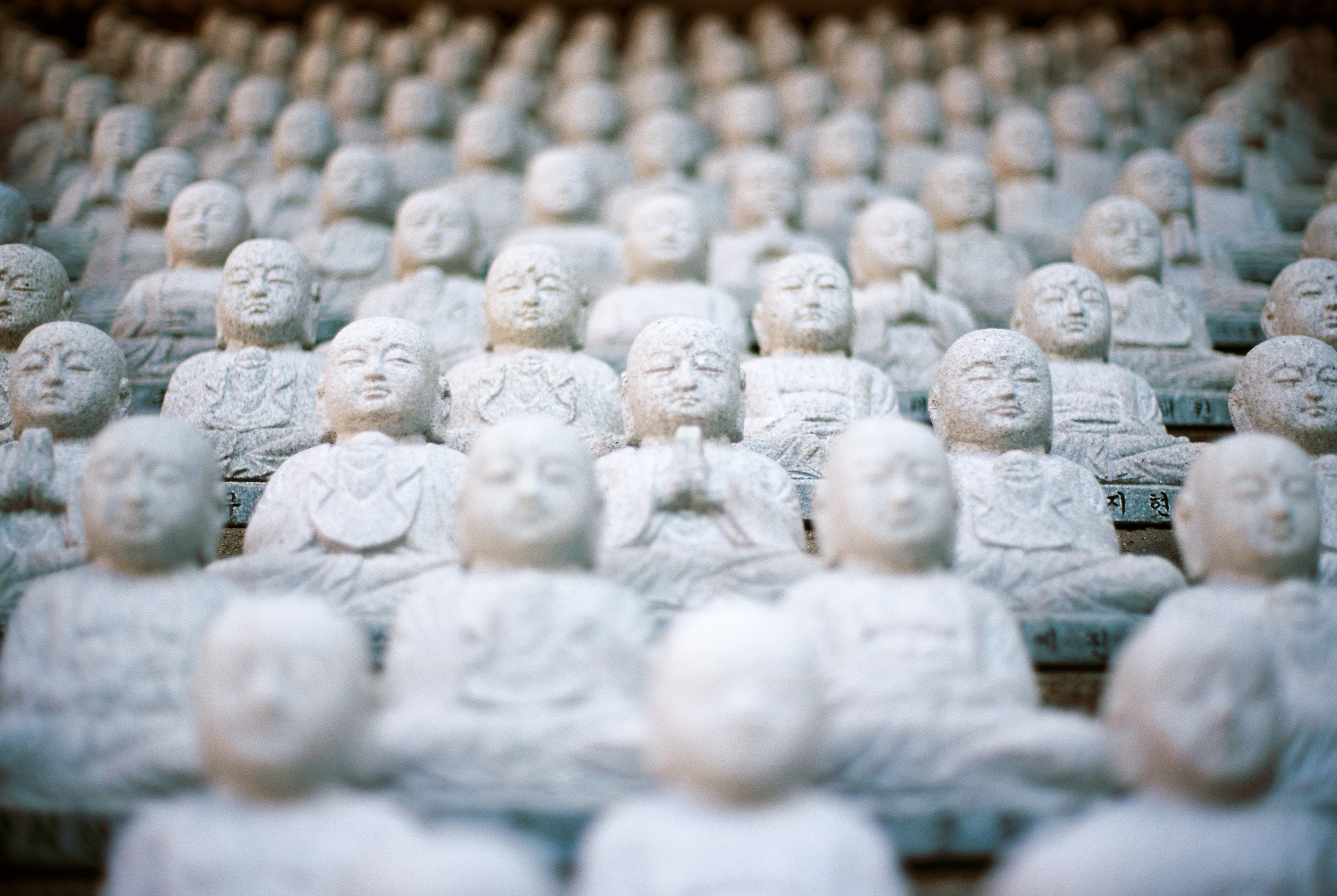 Many stone Buddha figurines in rows HD Wallpaper