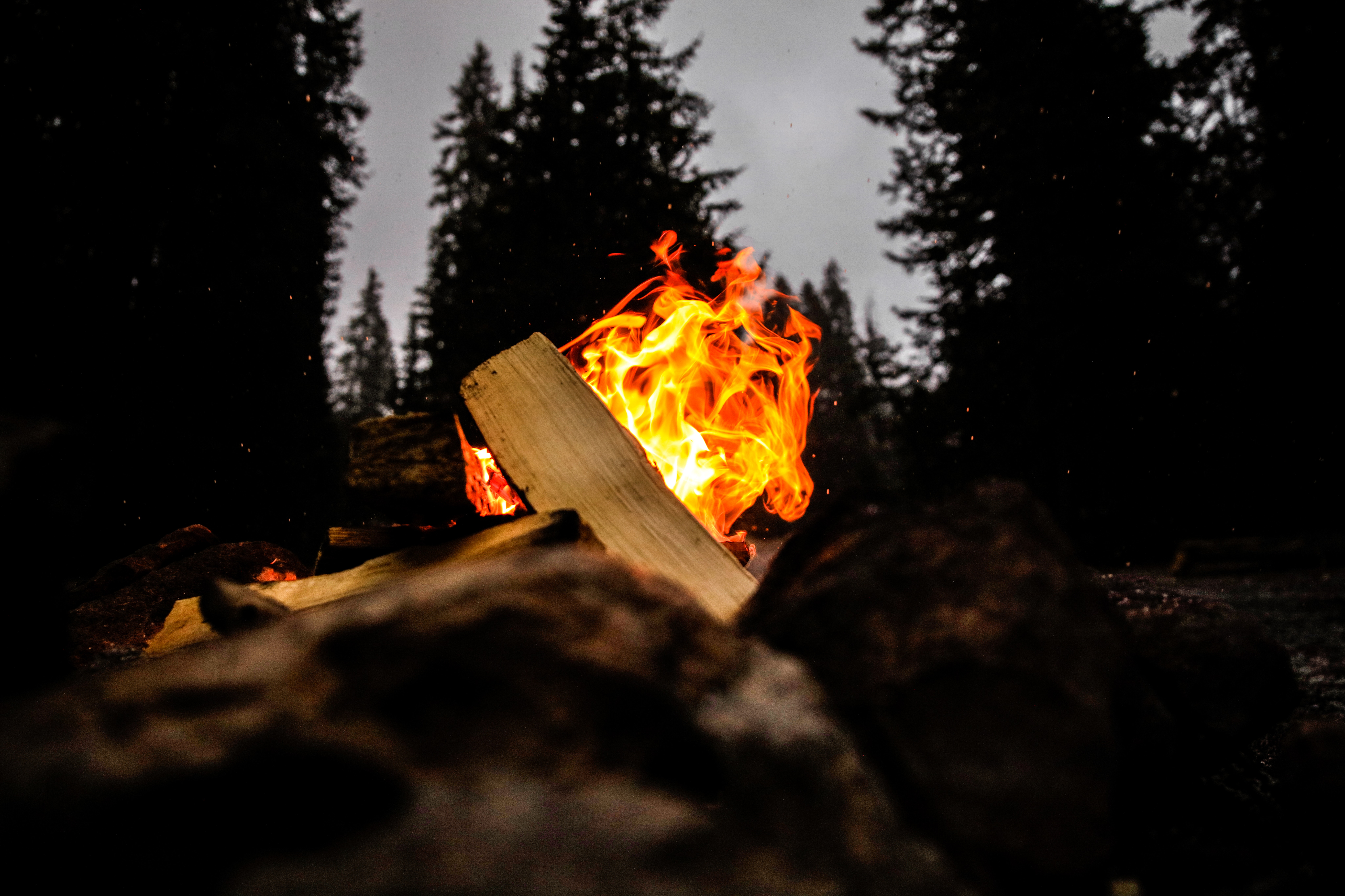 Campfire Flames Burning Bright in Utah Woodland HD Wallpaper