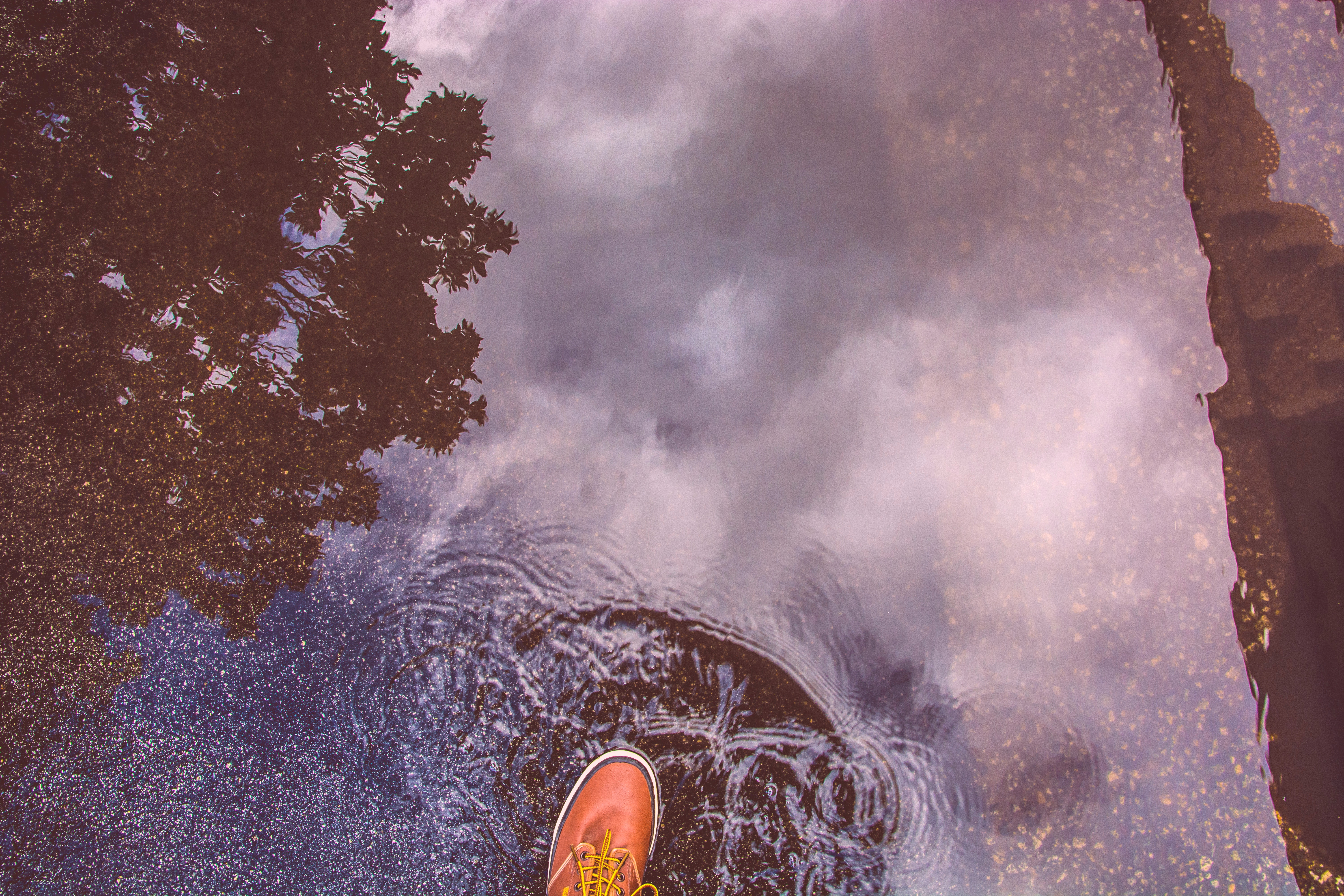Reflection of clouds and tree in a puddle with a shoe HD Wallpaper