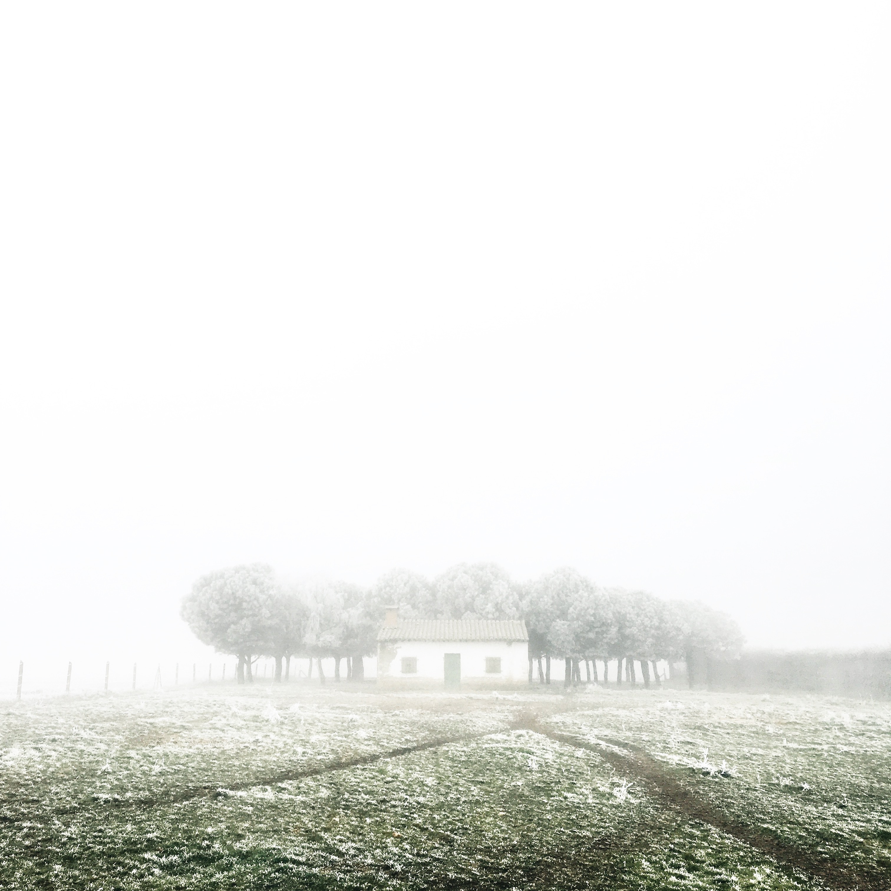 A foggy winter landscape with a small house and trees HD Wallpaper