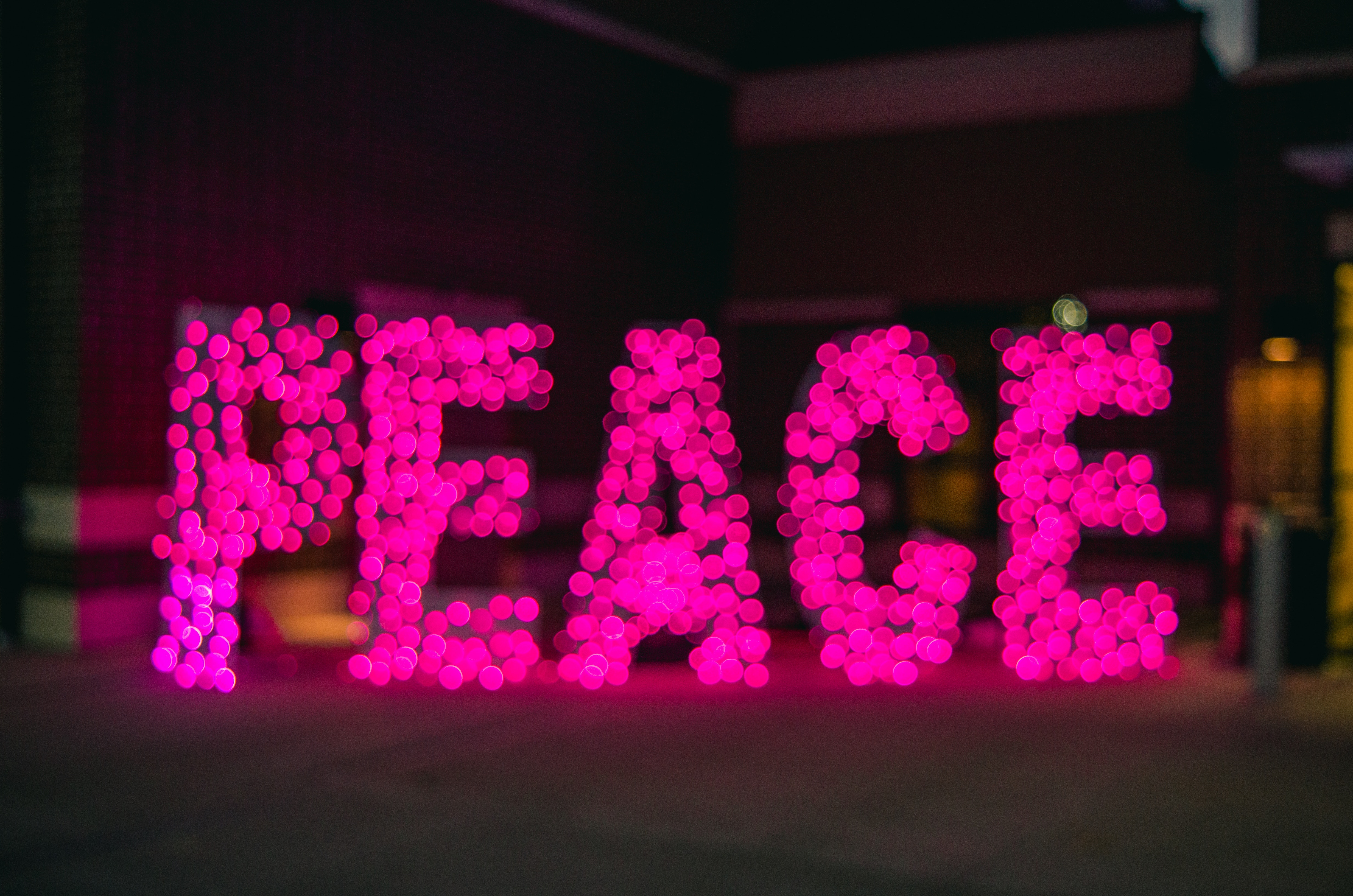Pink neon lights spell out the word PEACE HD Wallpaper
