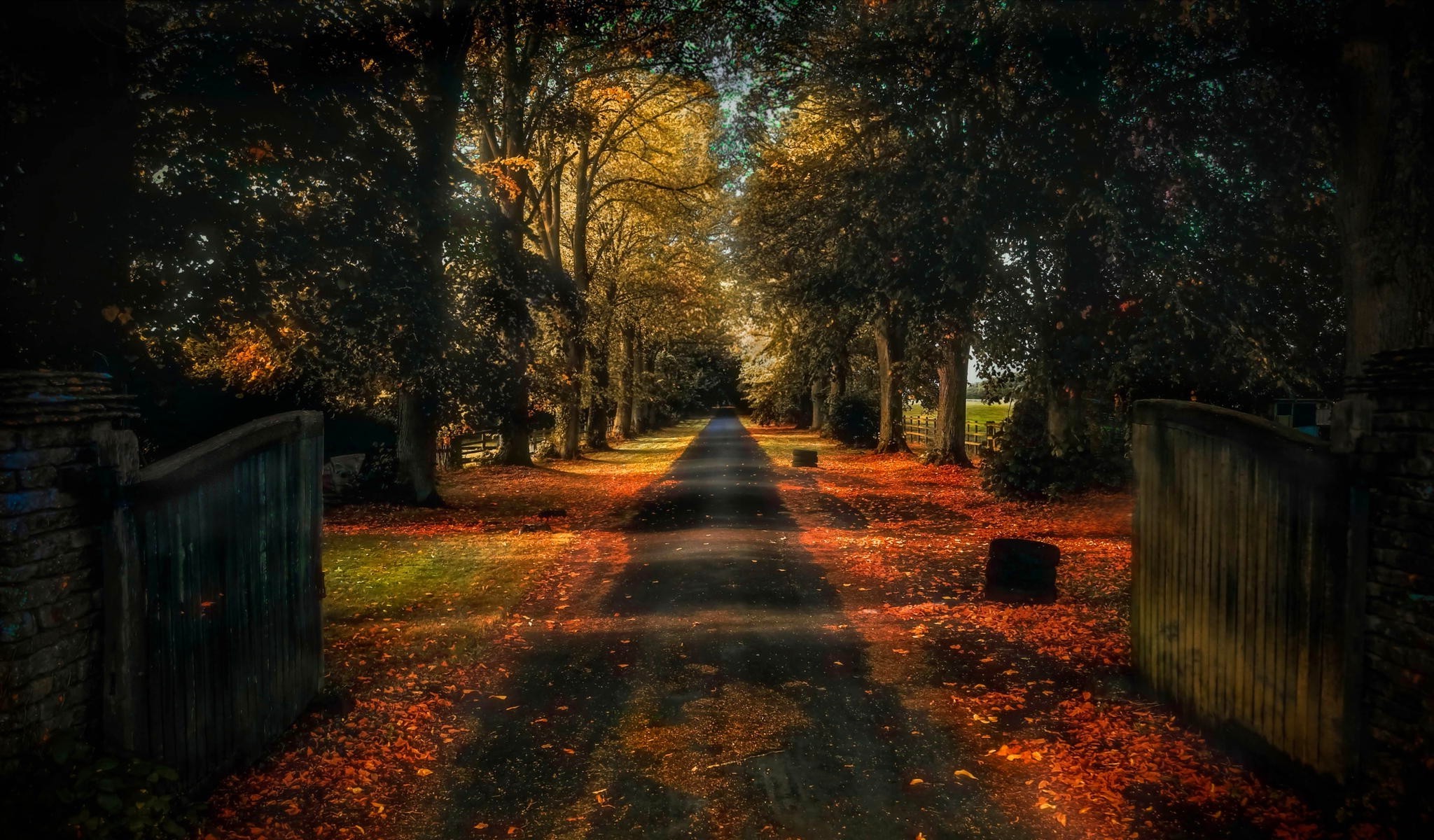 Autumn tree-lined road with open gates HD Wallpaper