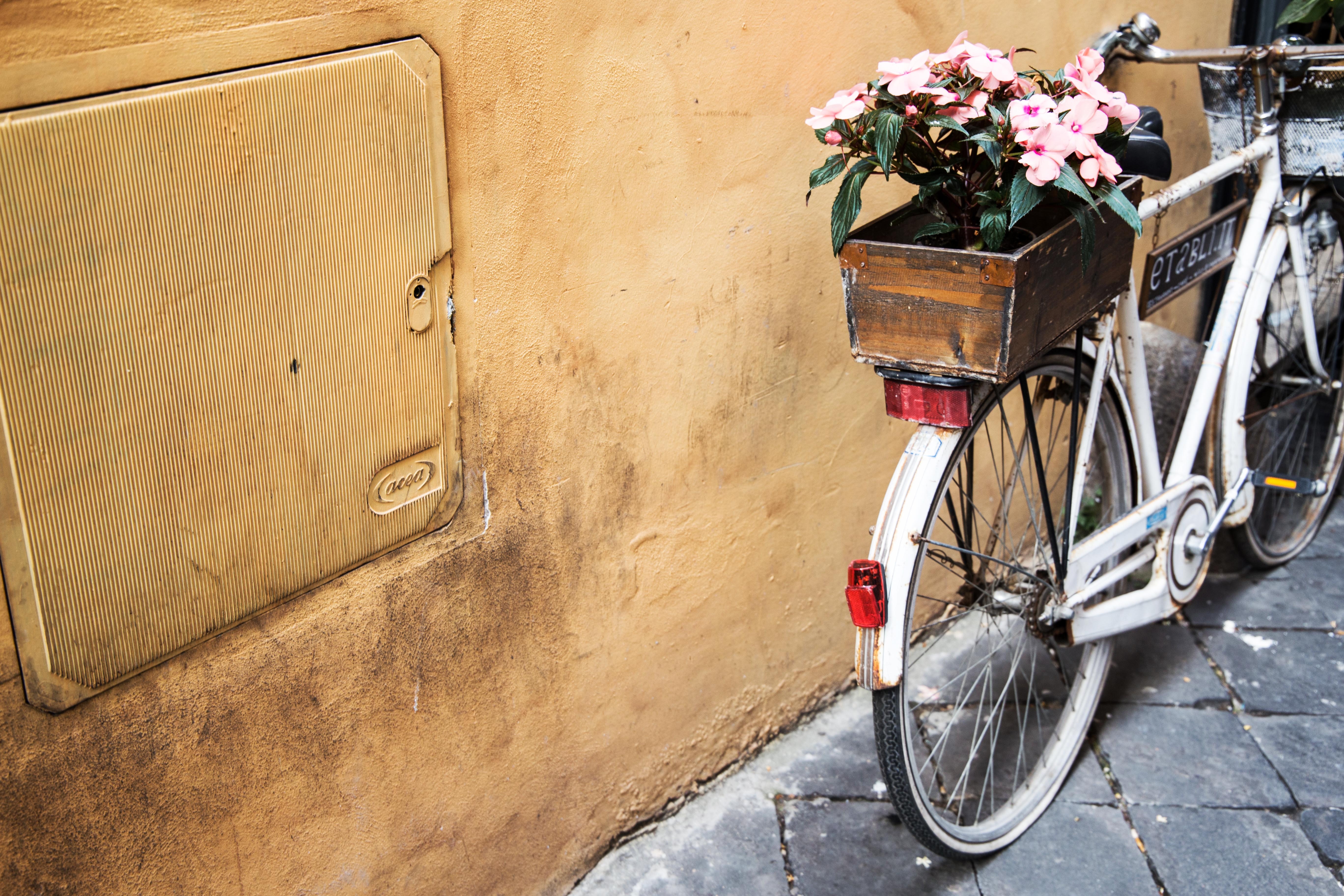 White bicycle with flowers against a yellow wall in Rome HD Wallpaper