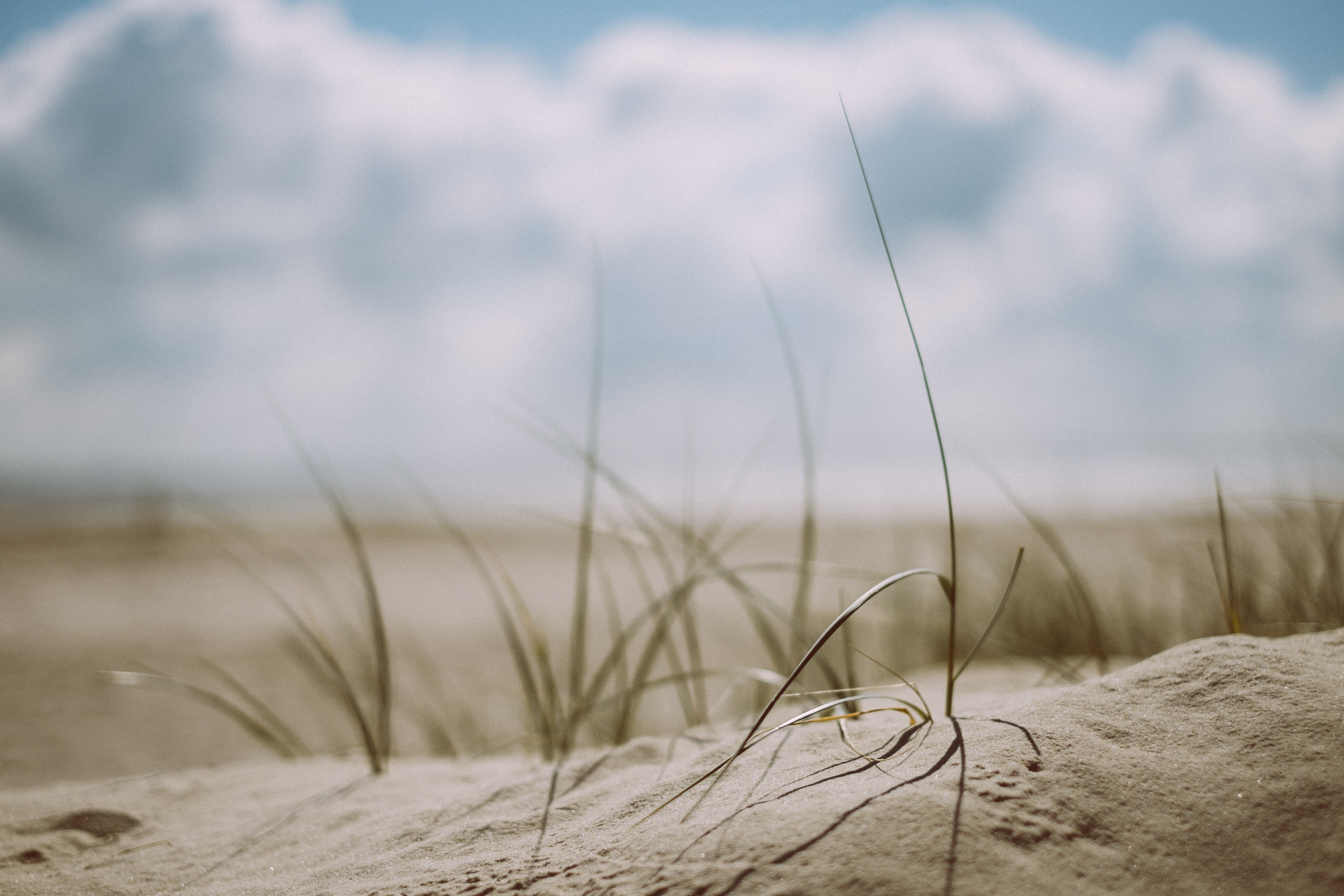 Beach grass and sand with clouds in the sky HD Wallpaper