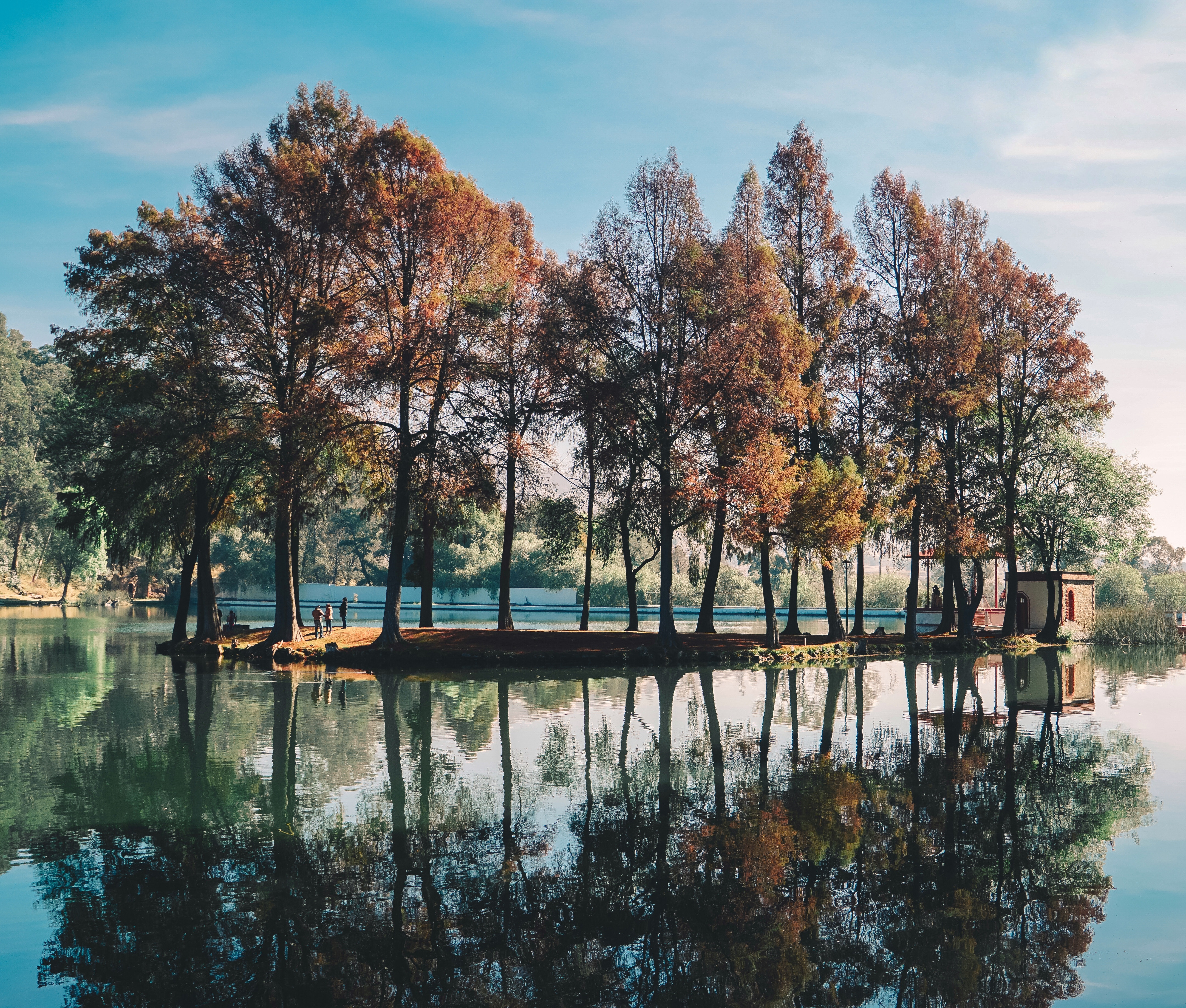 Island with fall trees and reflection in water at Hacienda de Chautla HD Wallpaper