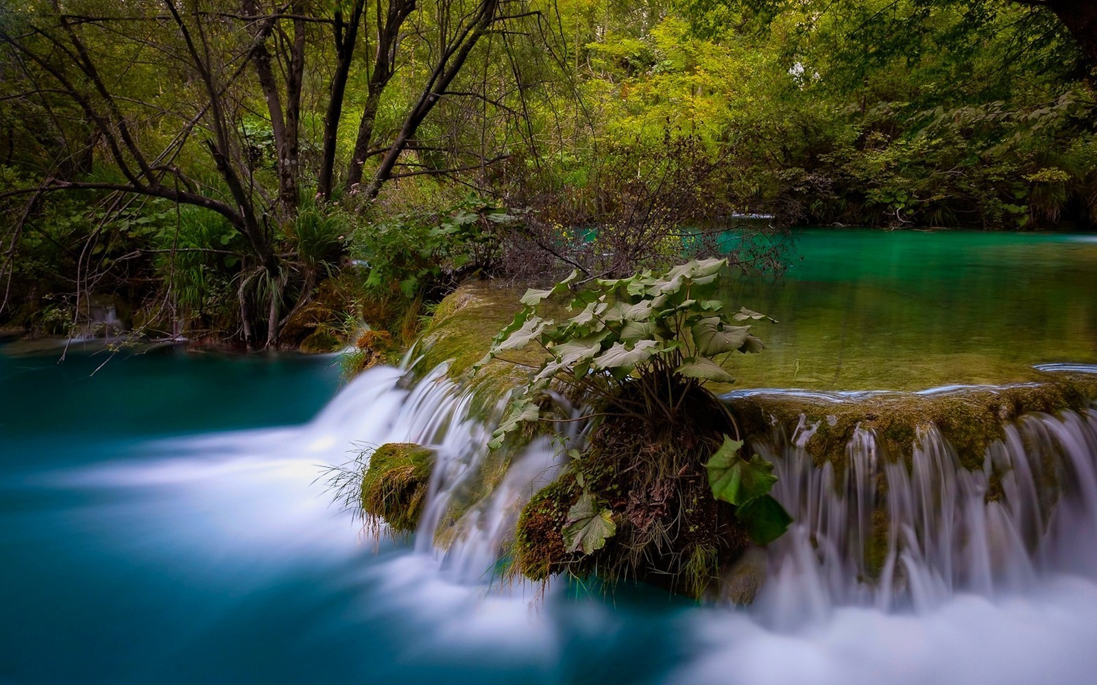 Waterfall in Plitvice National Park, Croatia HD Wallpaper