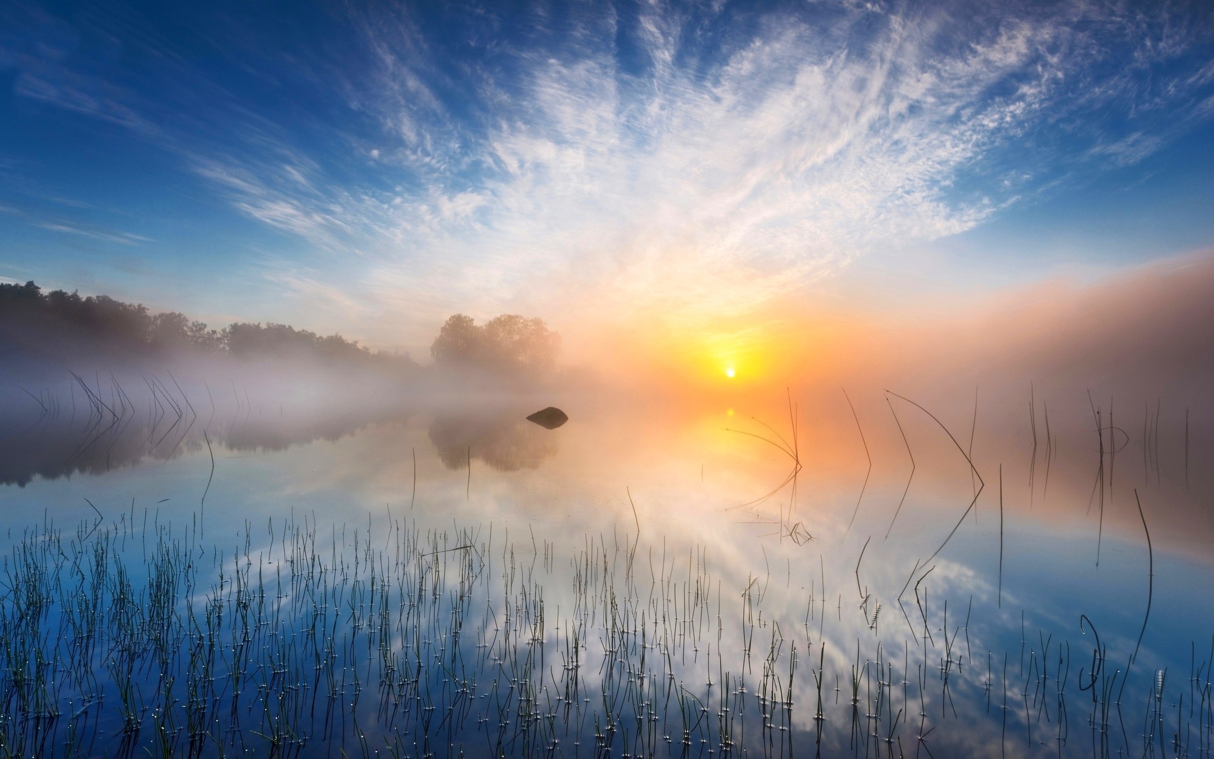 Sunrise over a misty lake with reeds HD Wallpaper