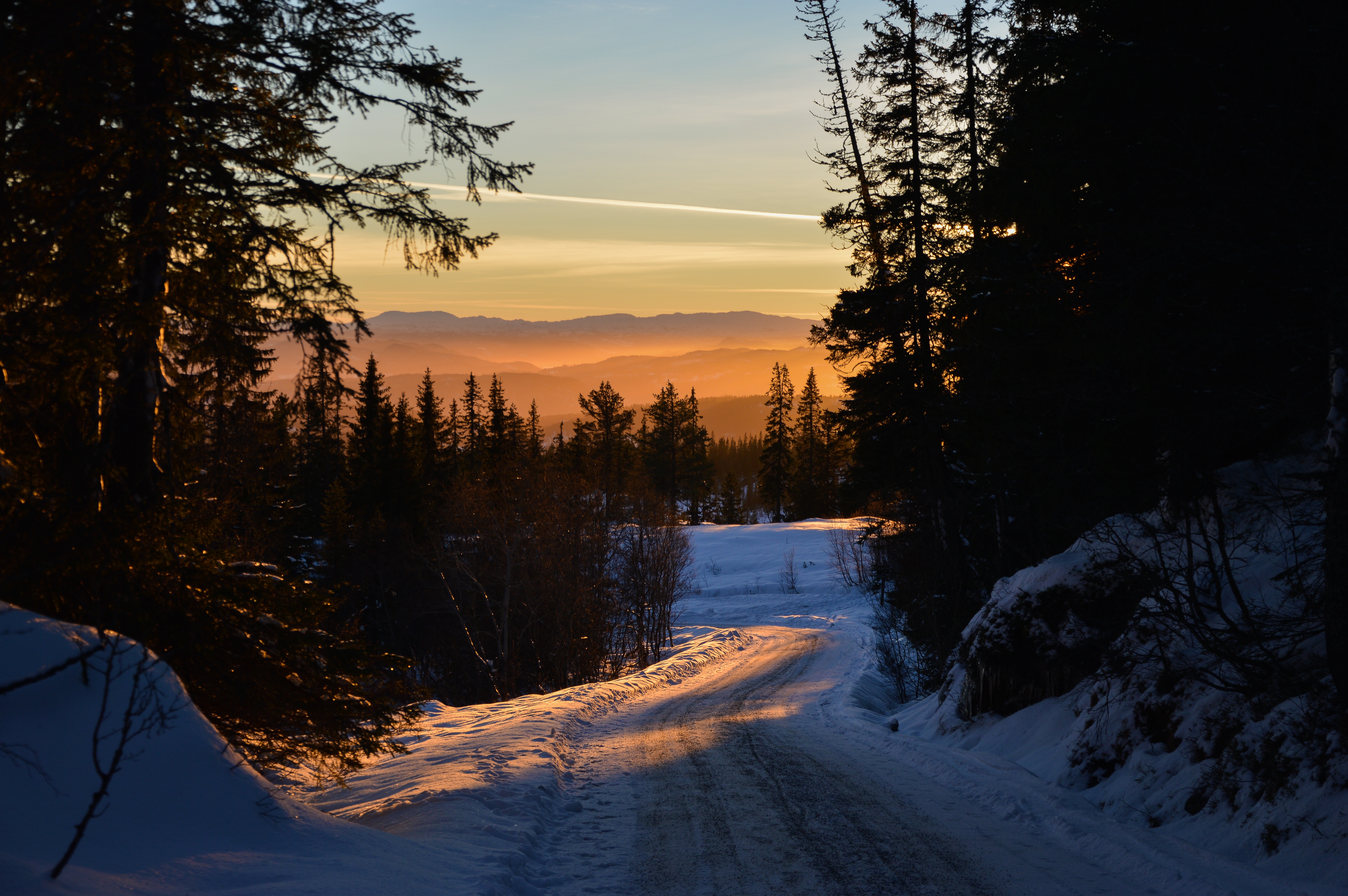 Snowy road through a forest at sunset in Norway HD Wallpaper