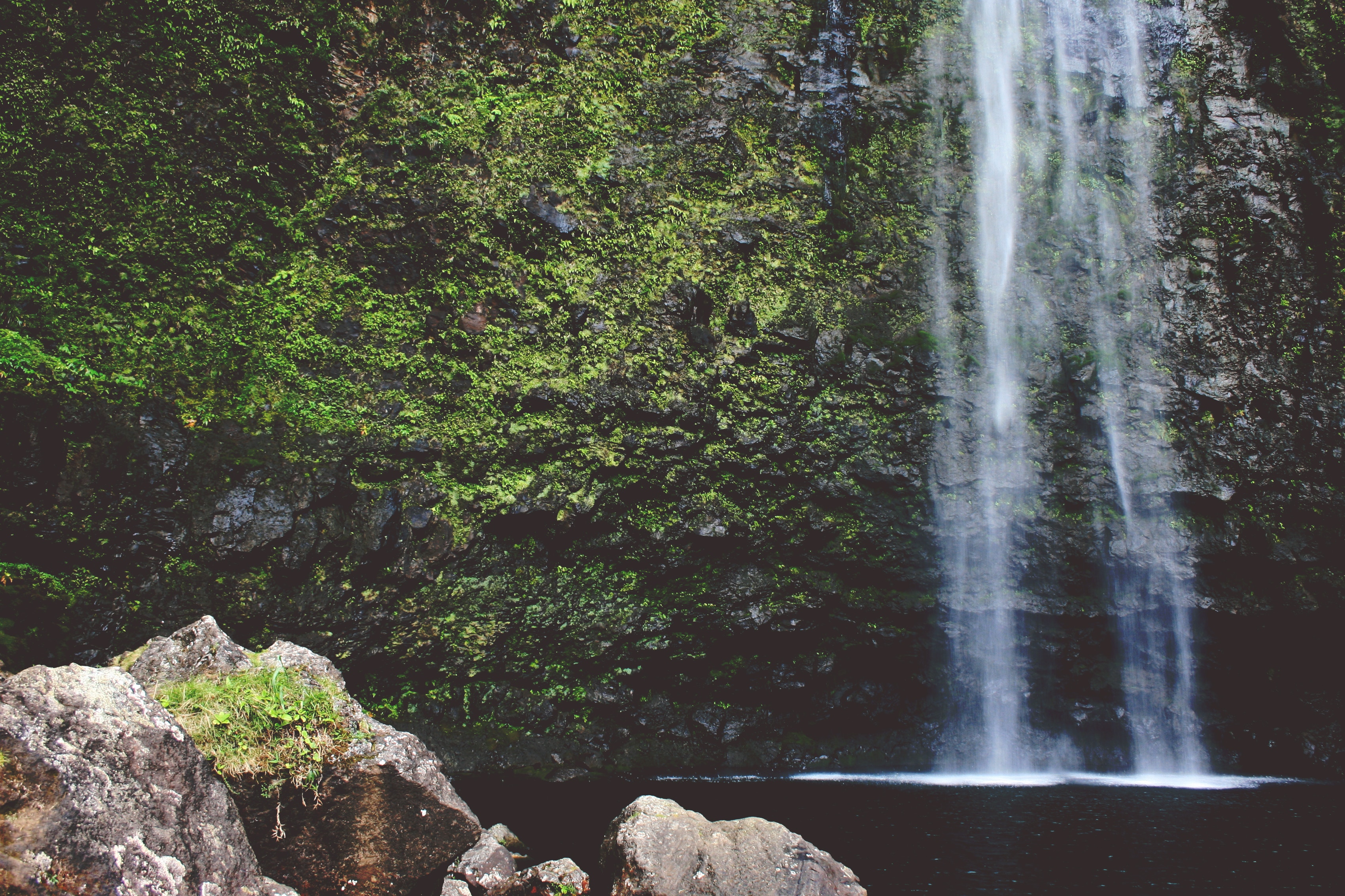 Moss-covered cliff with a cascading waterfall HD Wallpaper