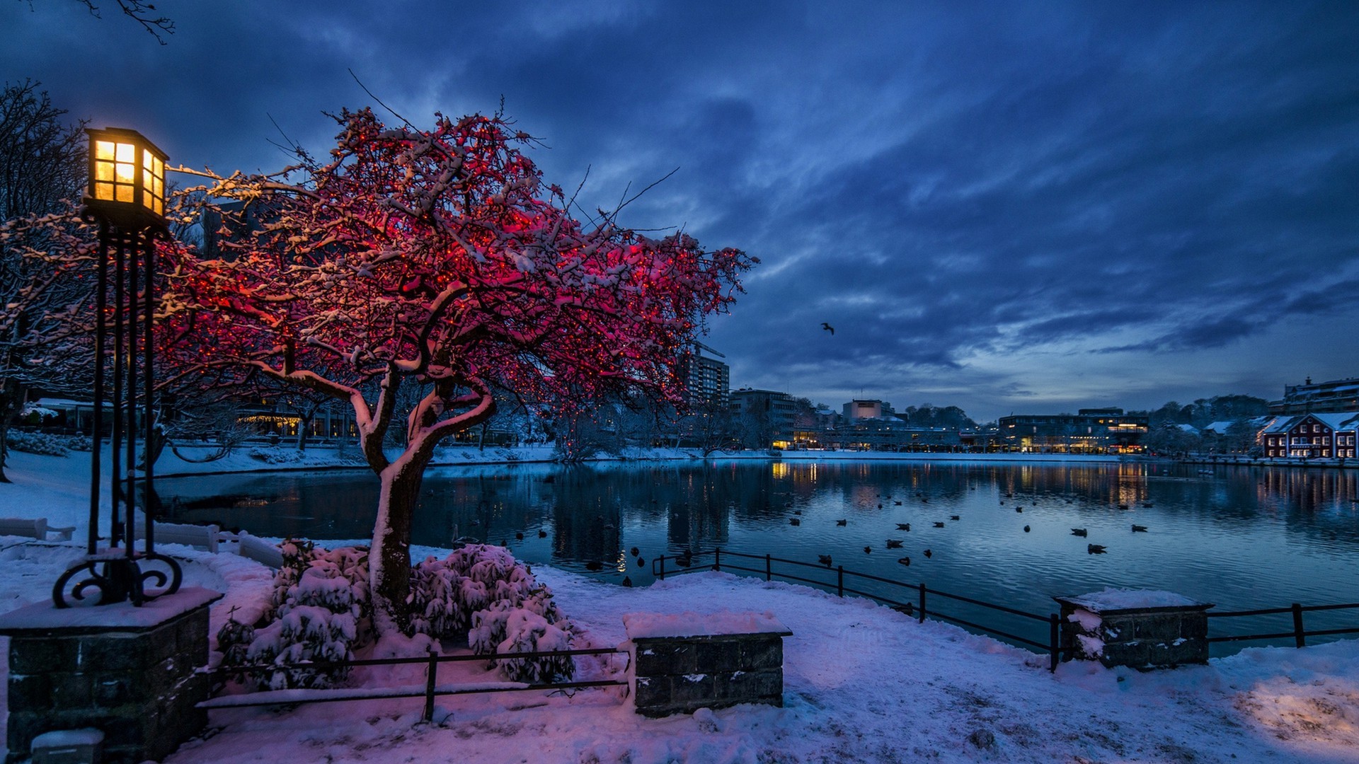Winter evening by a lake in Norway with snow and lights HD Wallpaper