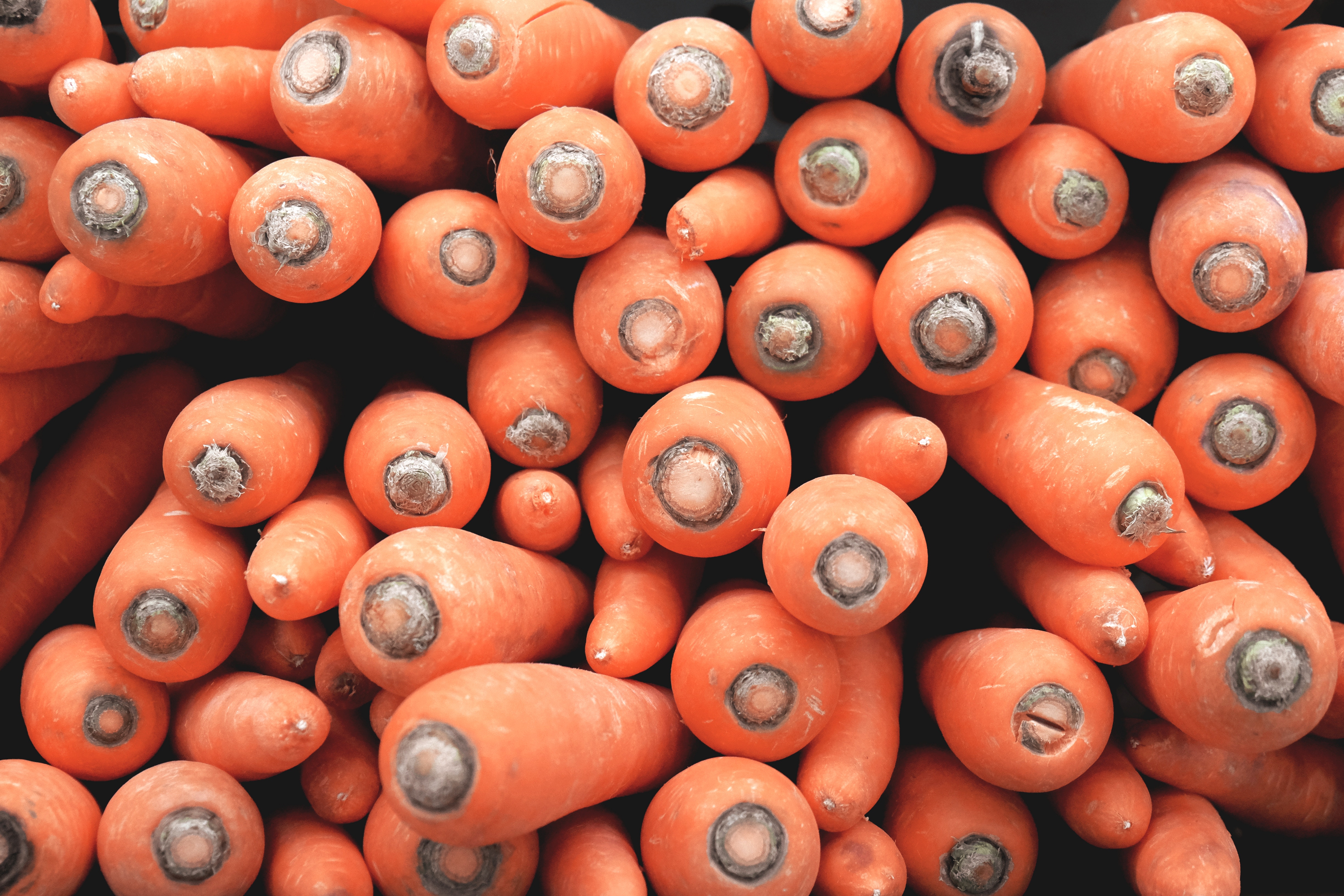 Pile of fresh orange carrots HD Wallpaper