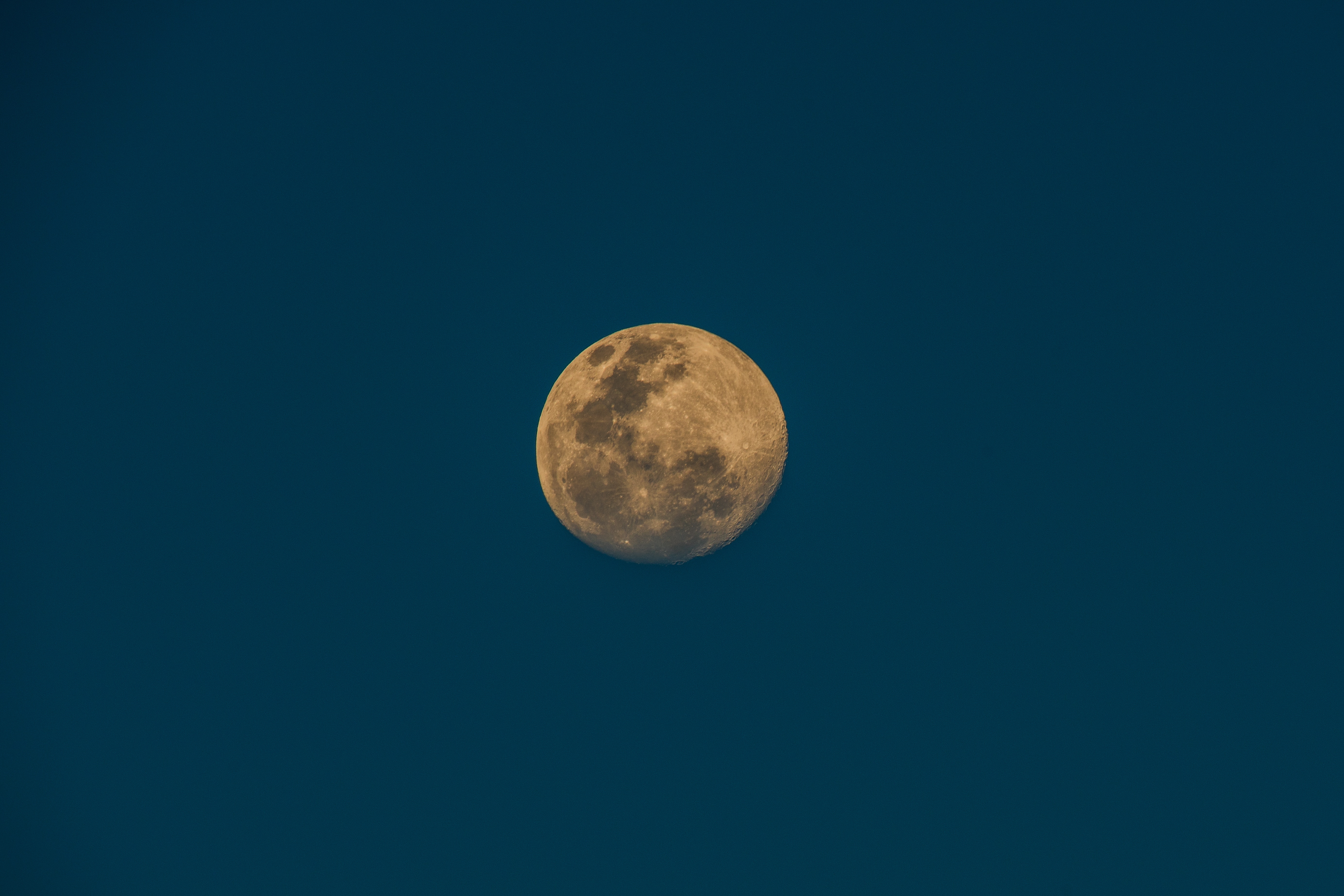 Full moon in a dark blue sky HD Wallpaper