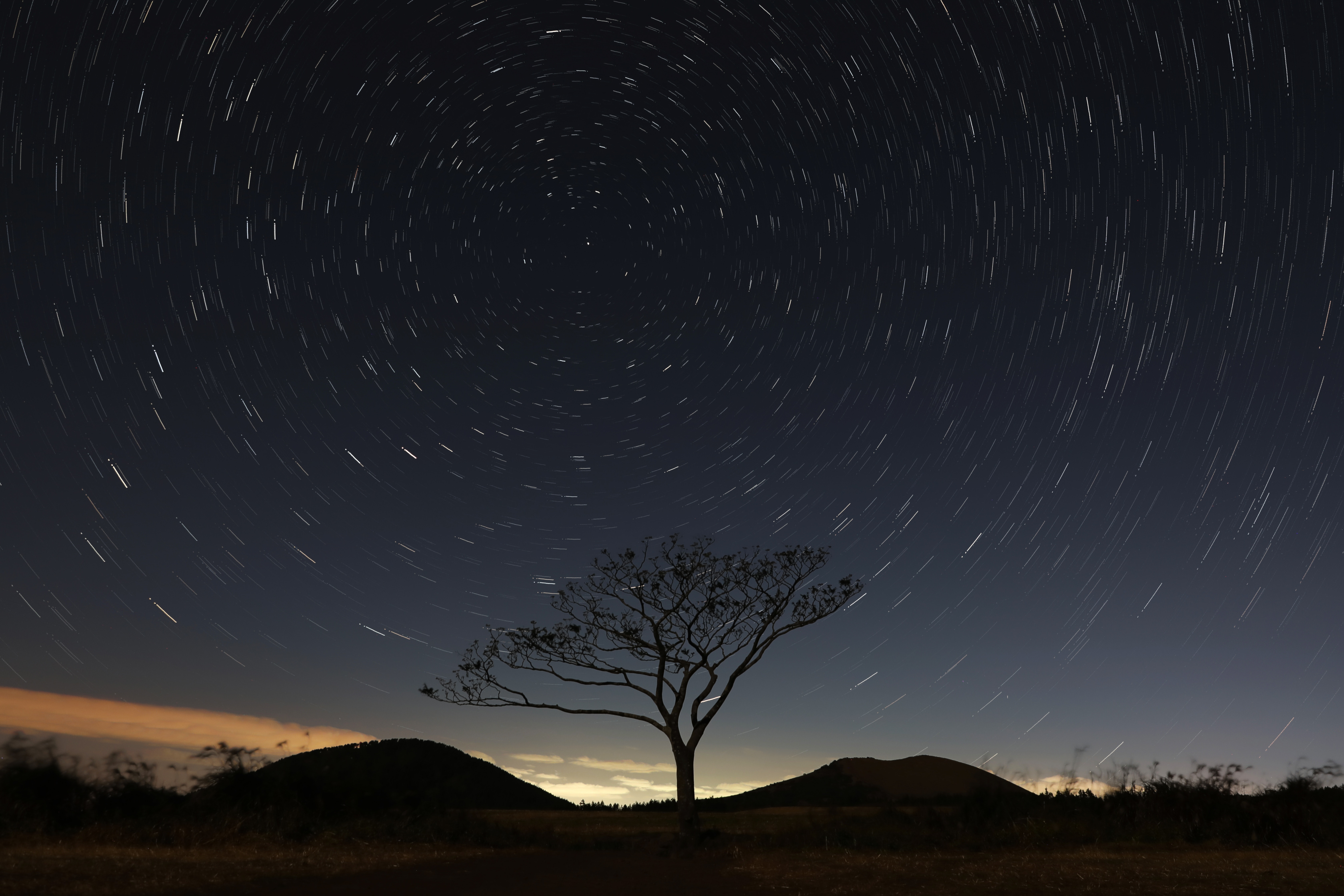 Star trails over a lone tree in Korea HD Wallpaper