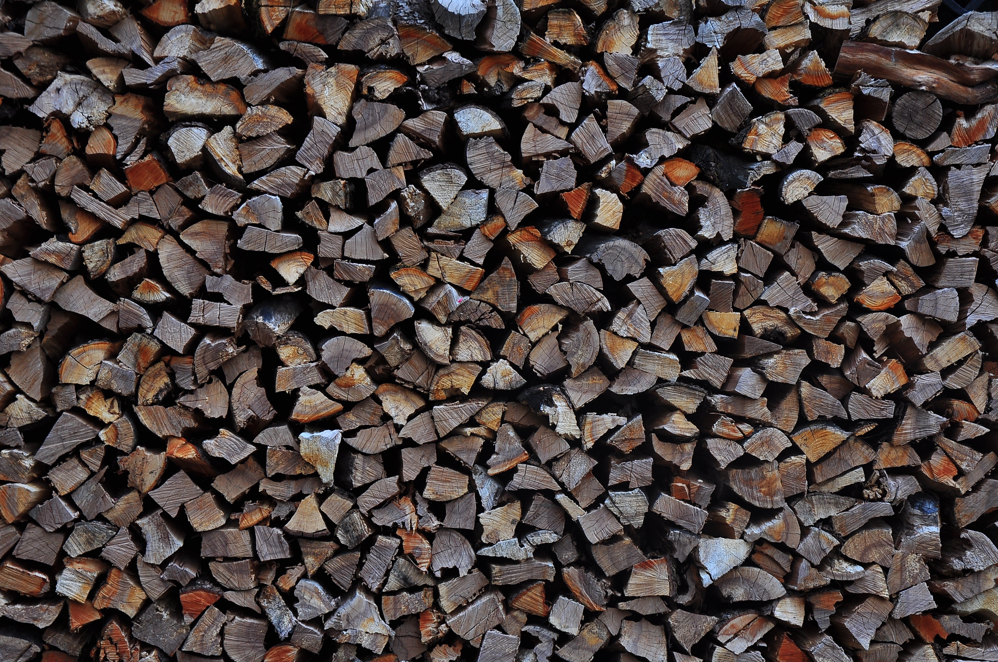 Pile of chopped firewood texture HD Wallpaper