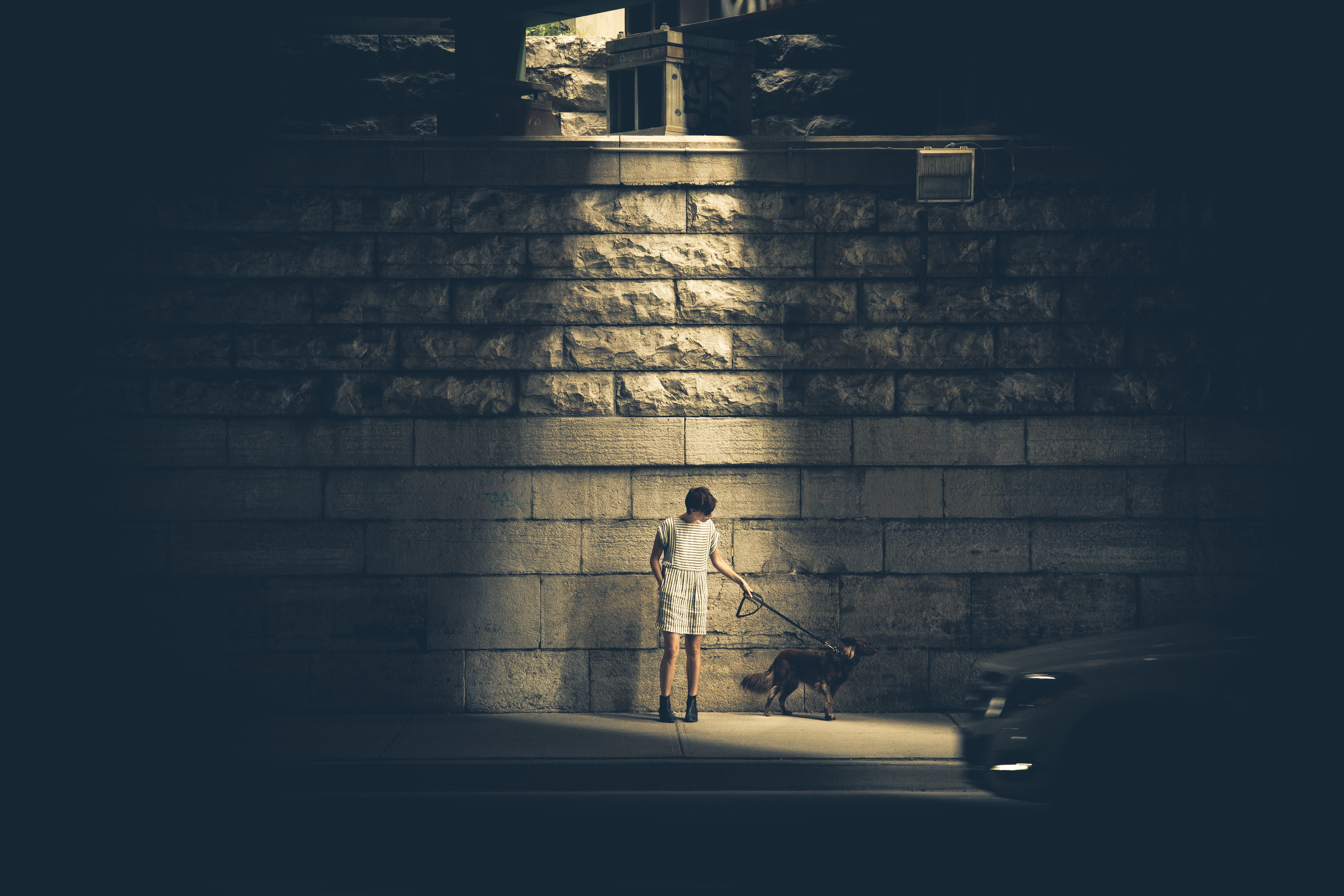 Woman walking dog on sidewalk near brick wall HD Wallpaper