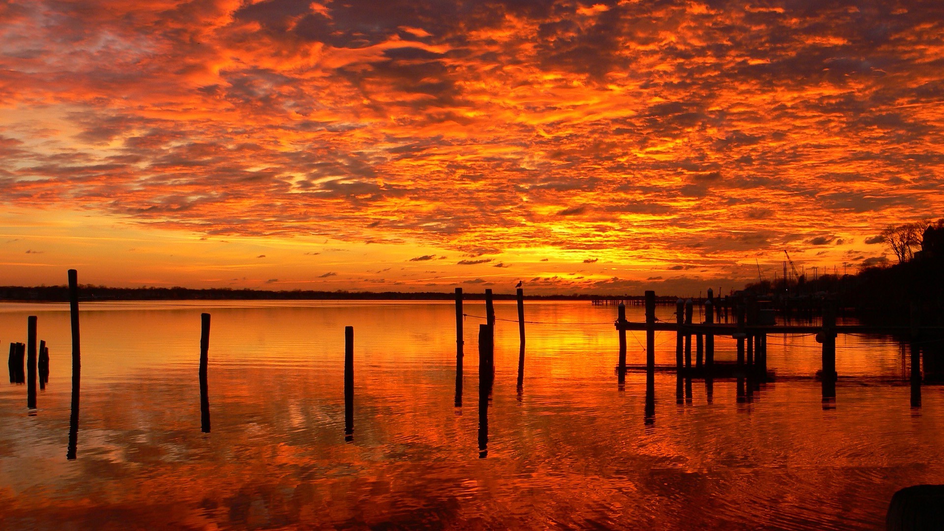 Sunset over a calm body of water with wooden posts HD Wallpaper