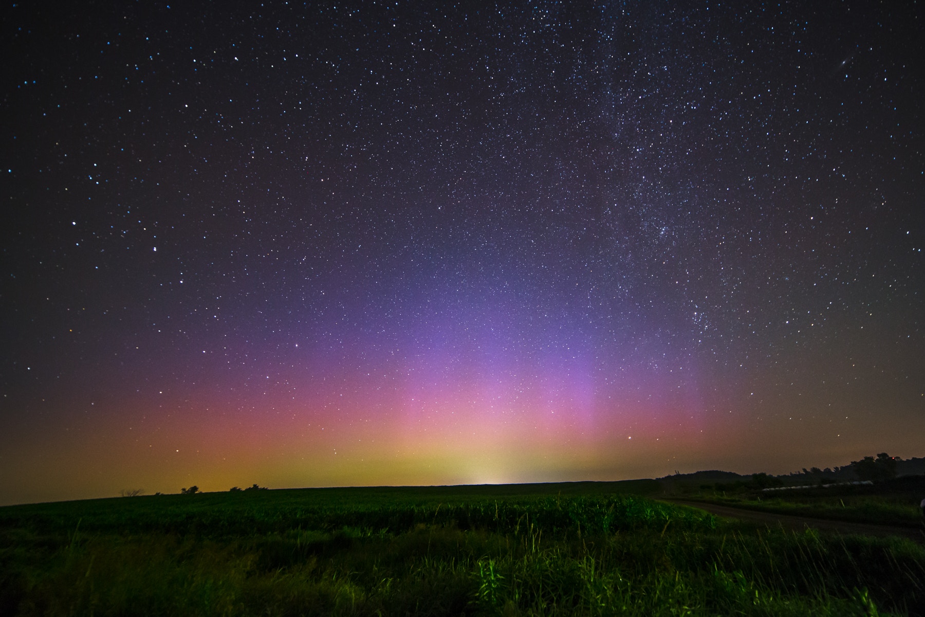 Aurora Borealis over a grassy field at night HD Wallpaper