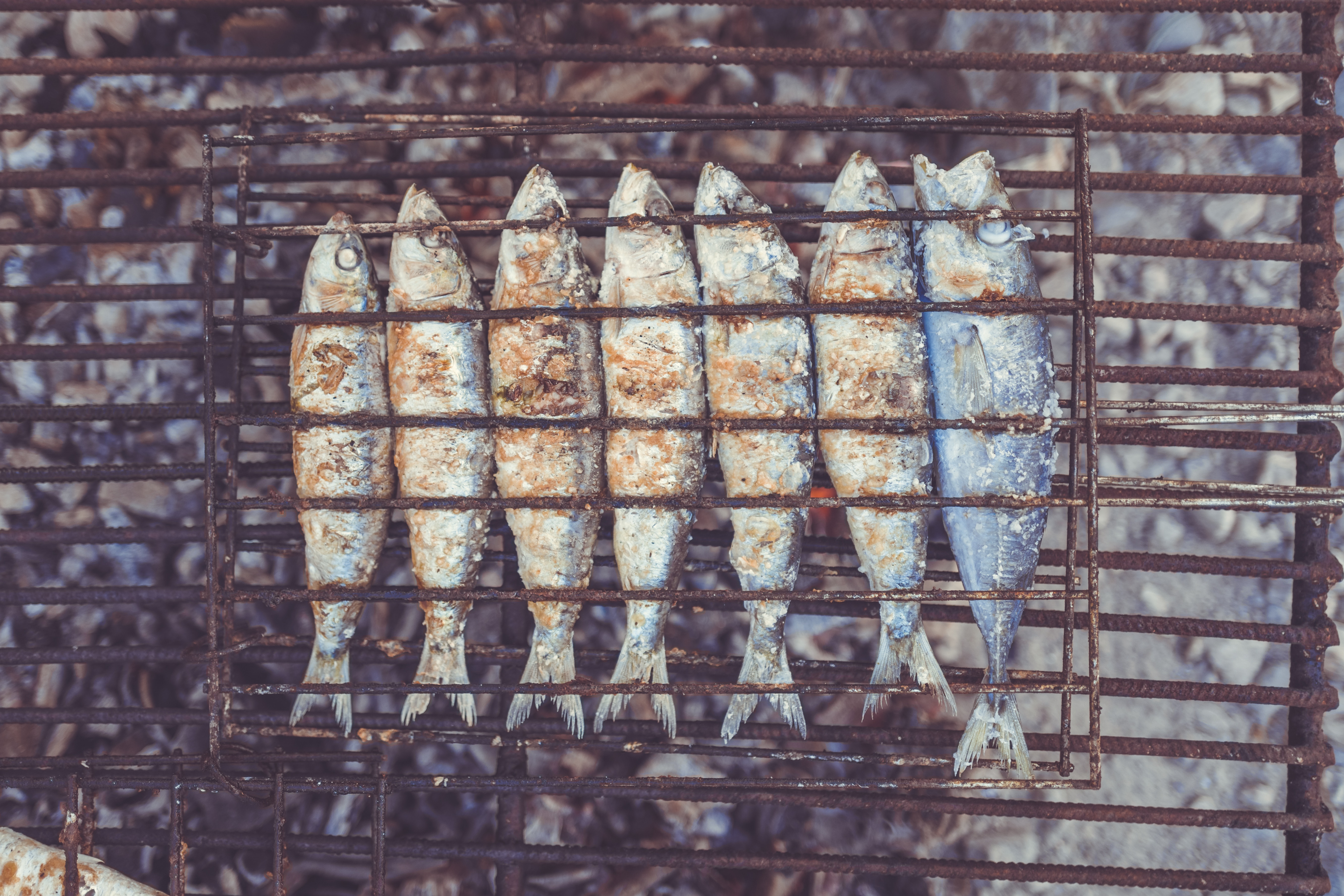 Grilled Sardines on a Rusty Barbecue Grill HD Wallpaper