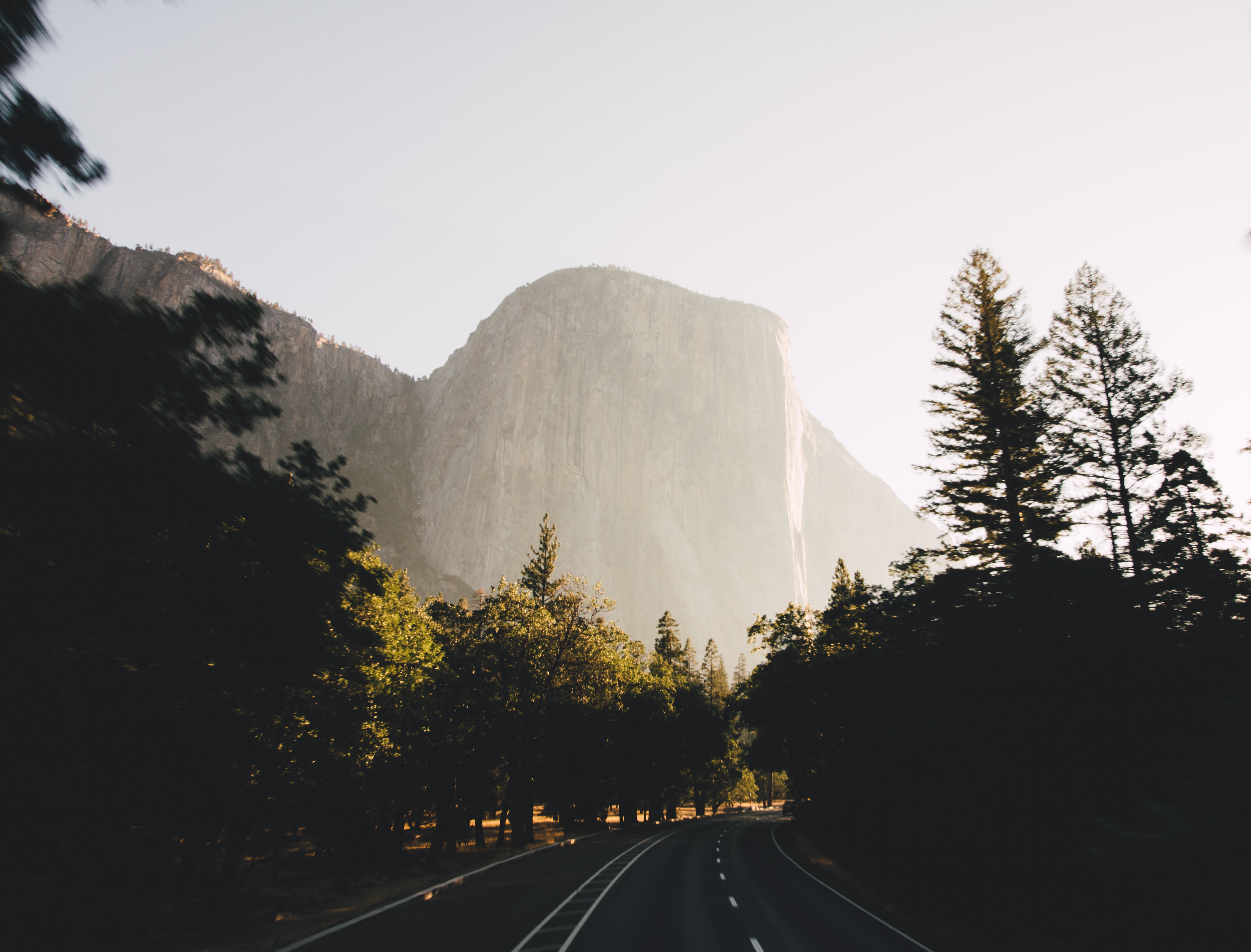 Road leading to El Capitan in Yosemite National Park HD Wallpaper