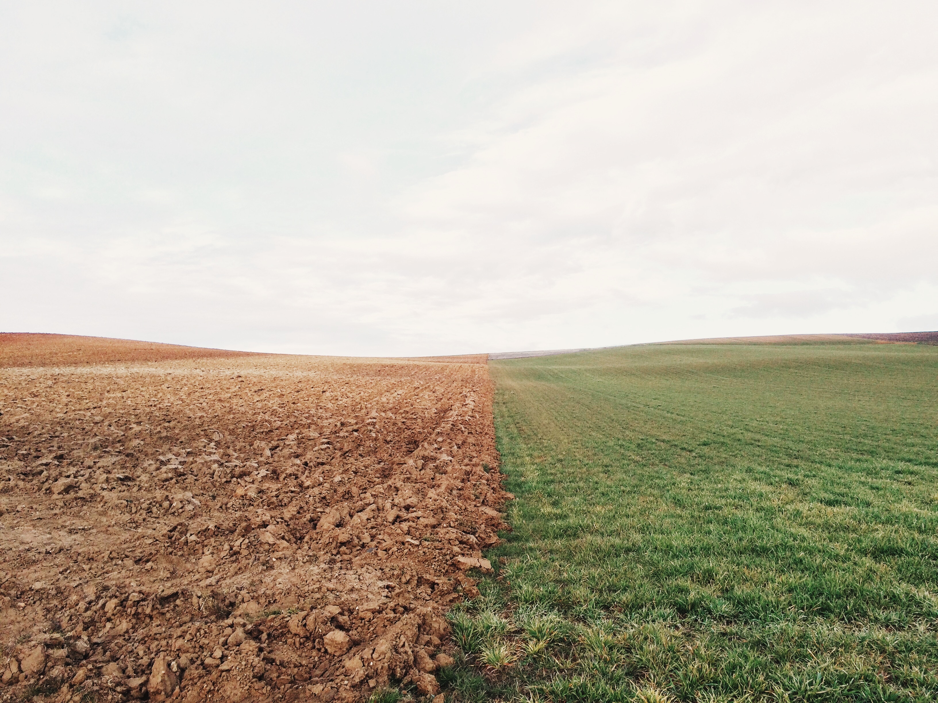 A divided field with plowed earth and green grass HD Wallpaper