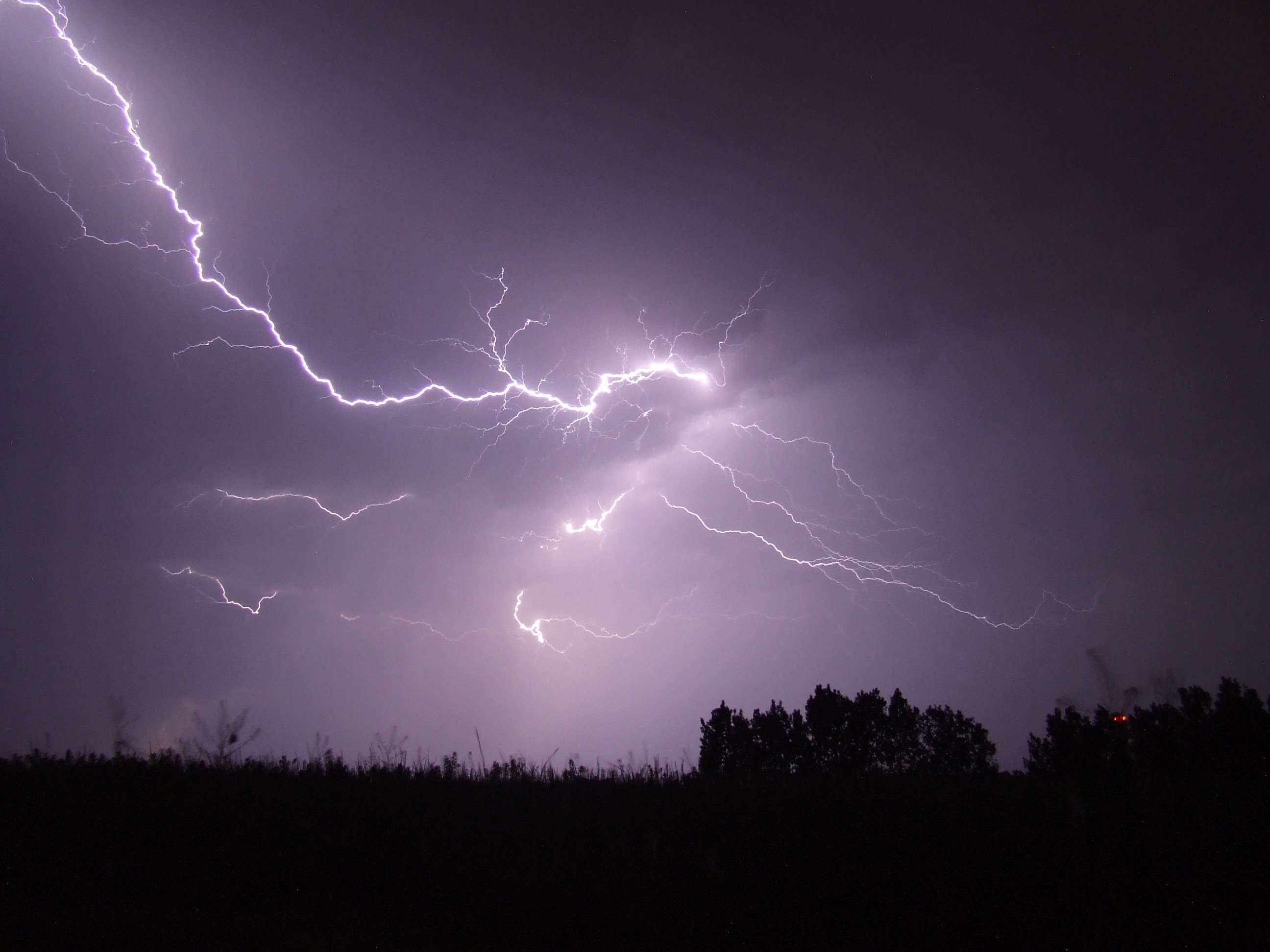 Lightning strikes in a dark, stormy sky over trees HD Wallpaper