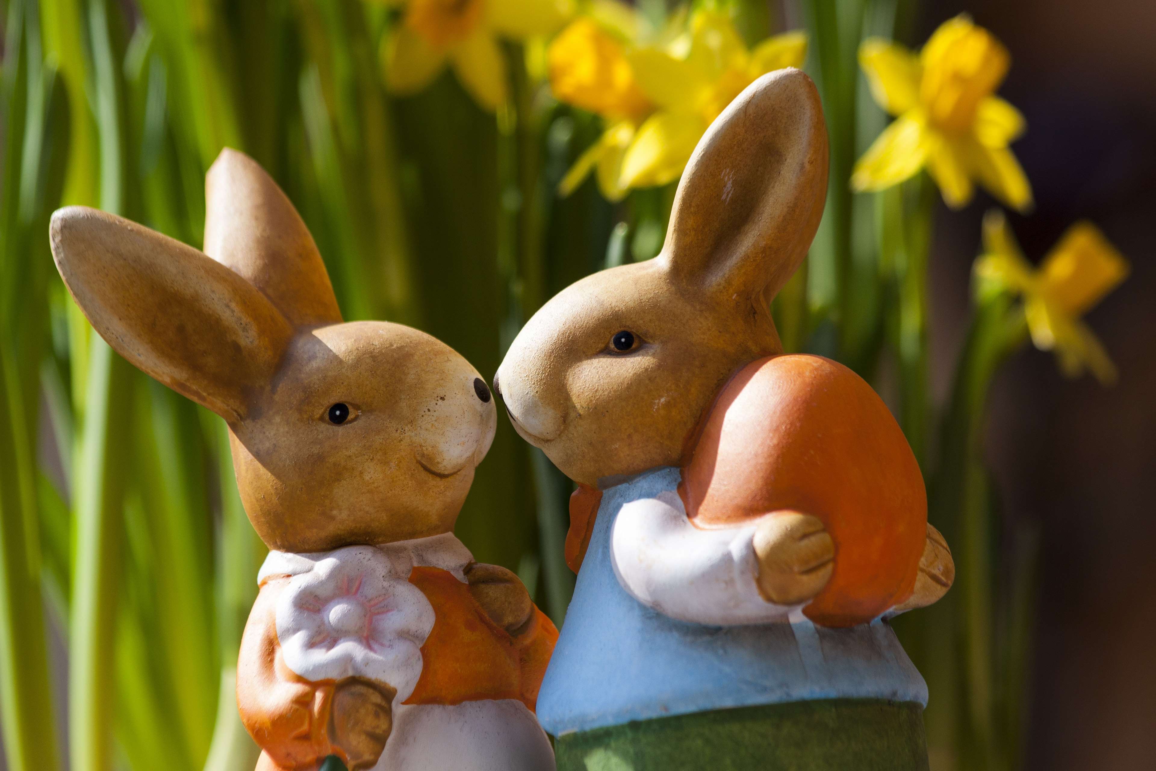 Two Easter bunny figurines with an Easter egg and daffodils HD Wallpaper