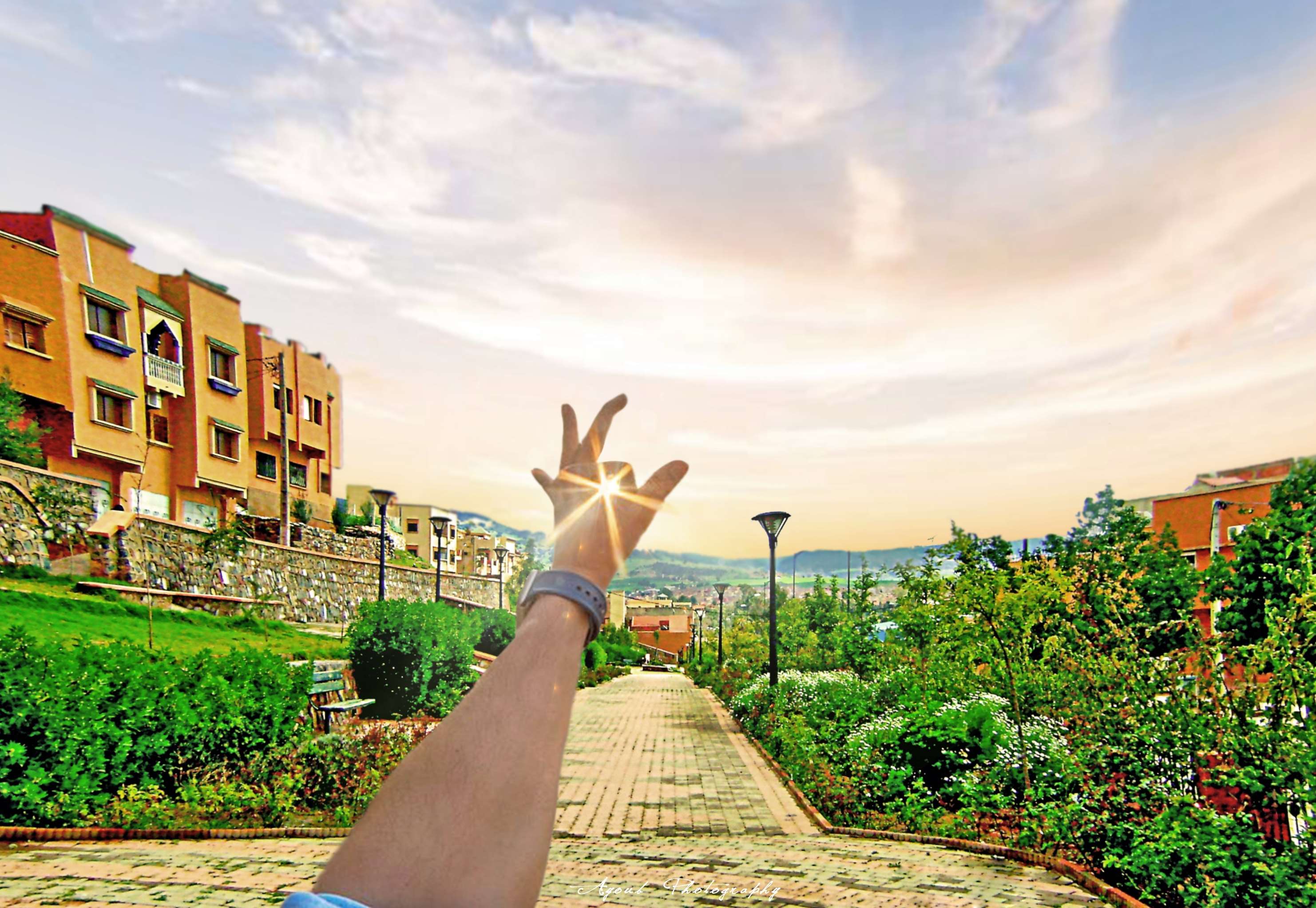 Hand reaching towards the sun in a park HD Wallpaper