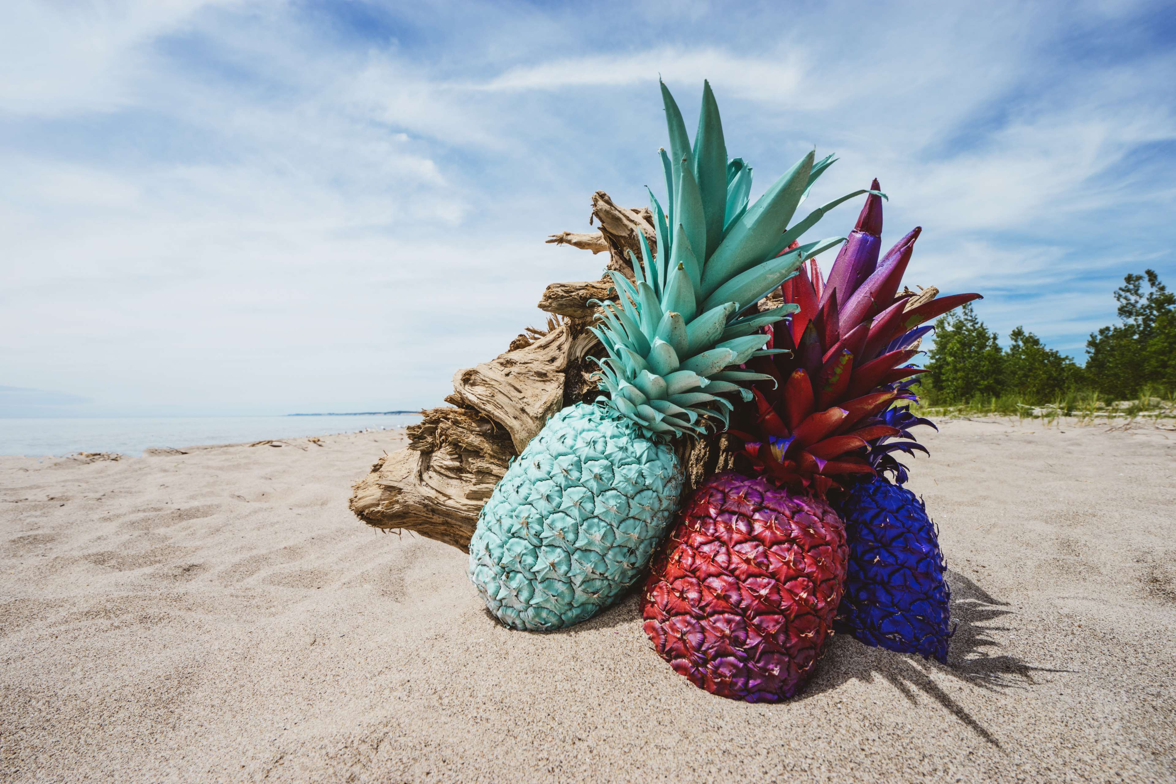 Painted pineapples on a sandy beach with driftwood HD Wallpaper