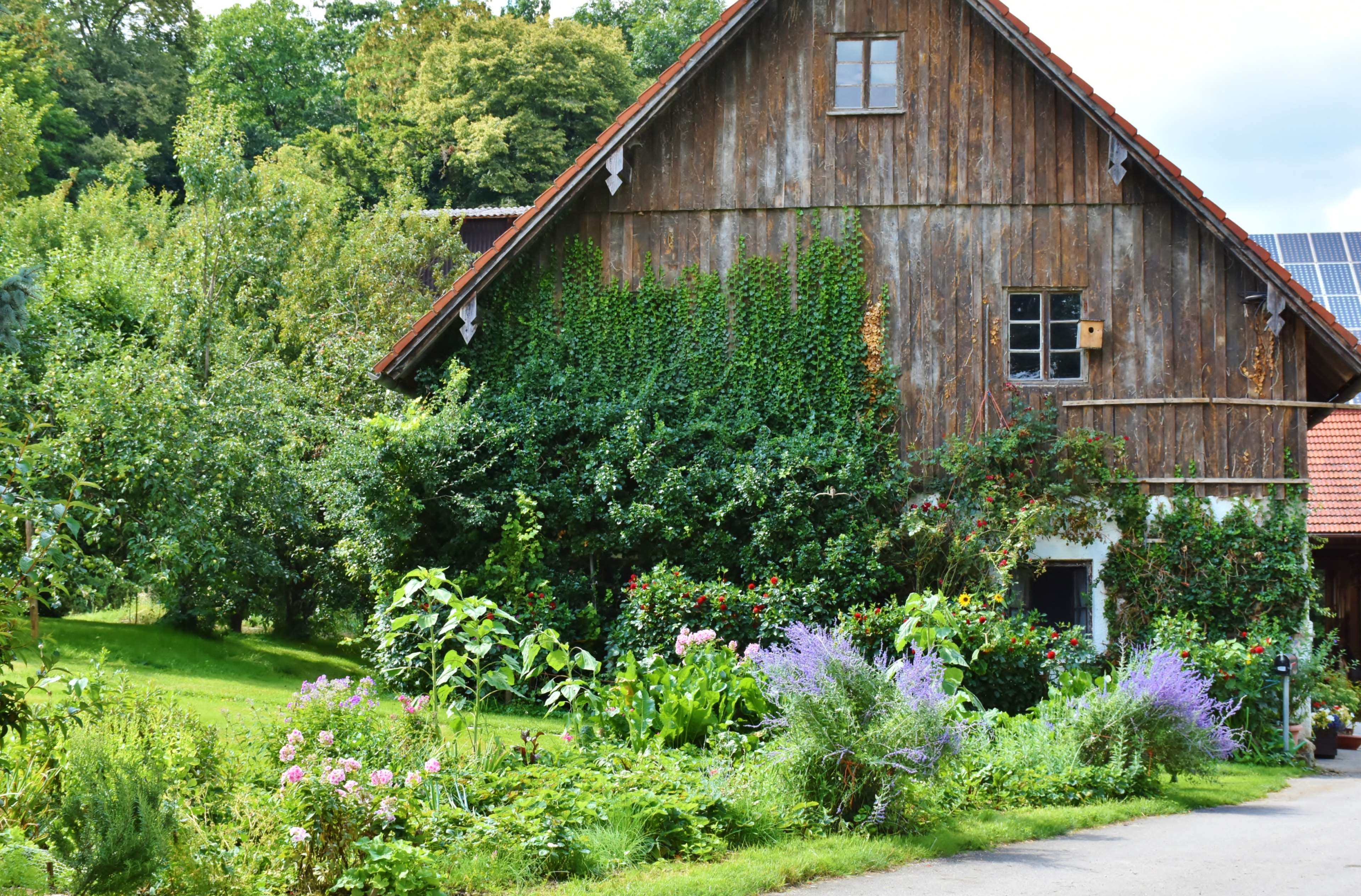 Rustic wooden farmhouse with a vibrant garden HD Wallpaper