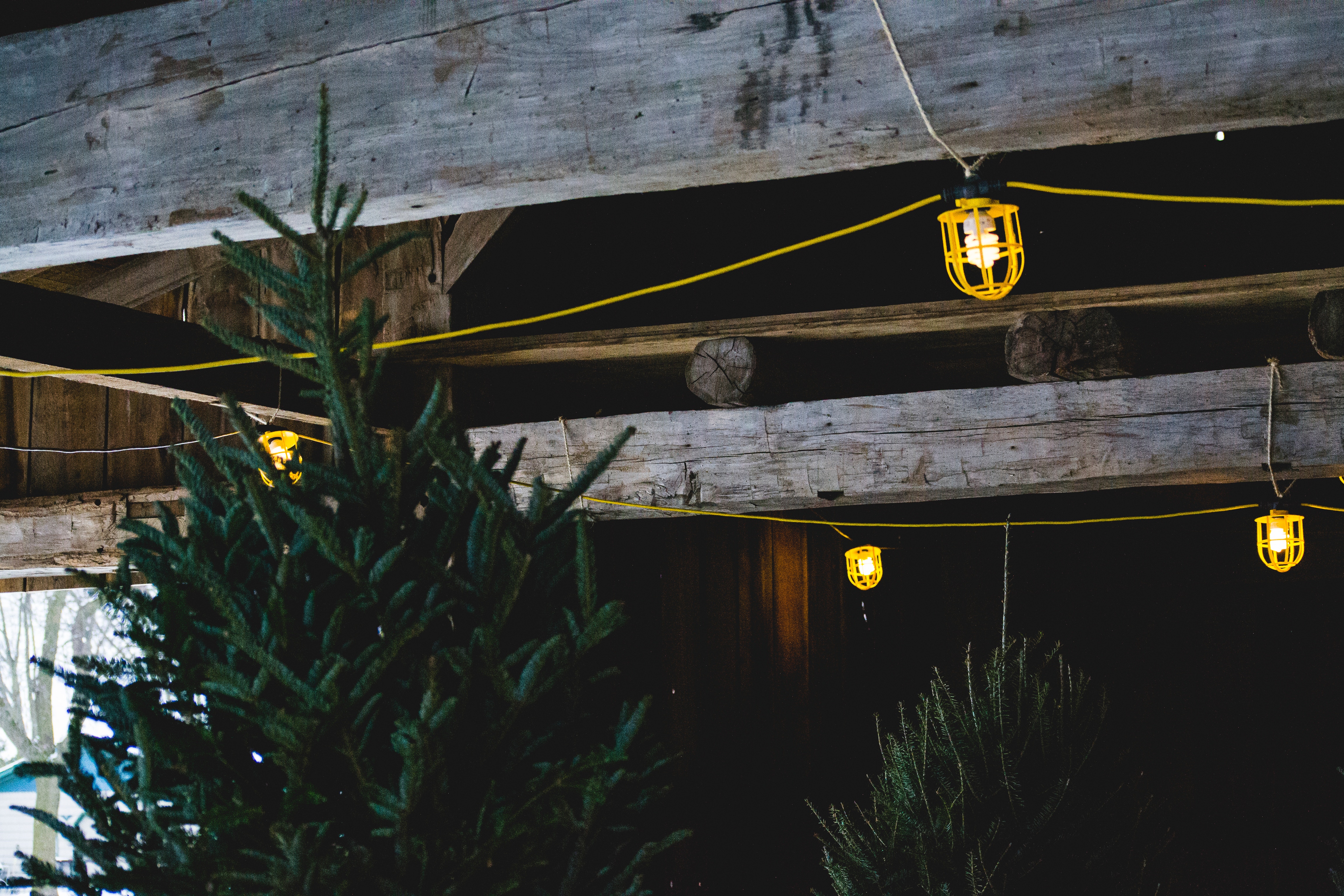 Rustic wooden beams with yellow string lights and fir trees HD Wallpaper