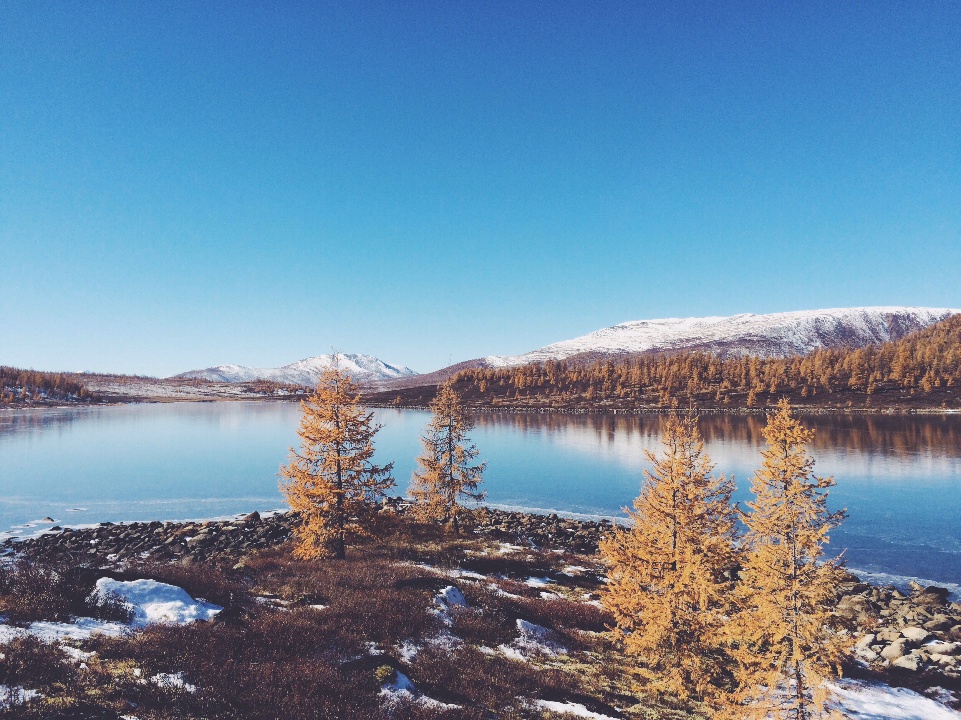 Autumn lake with snow-capped mountains and golden trees HD Wallpaper