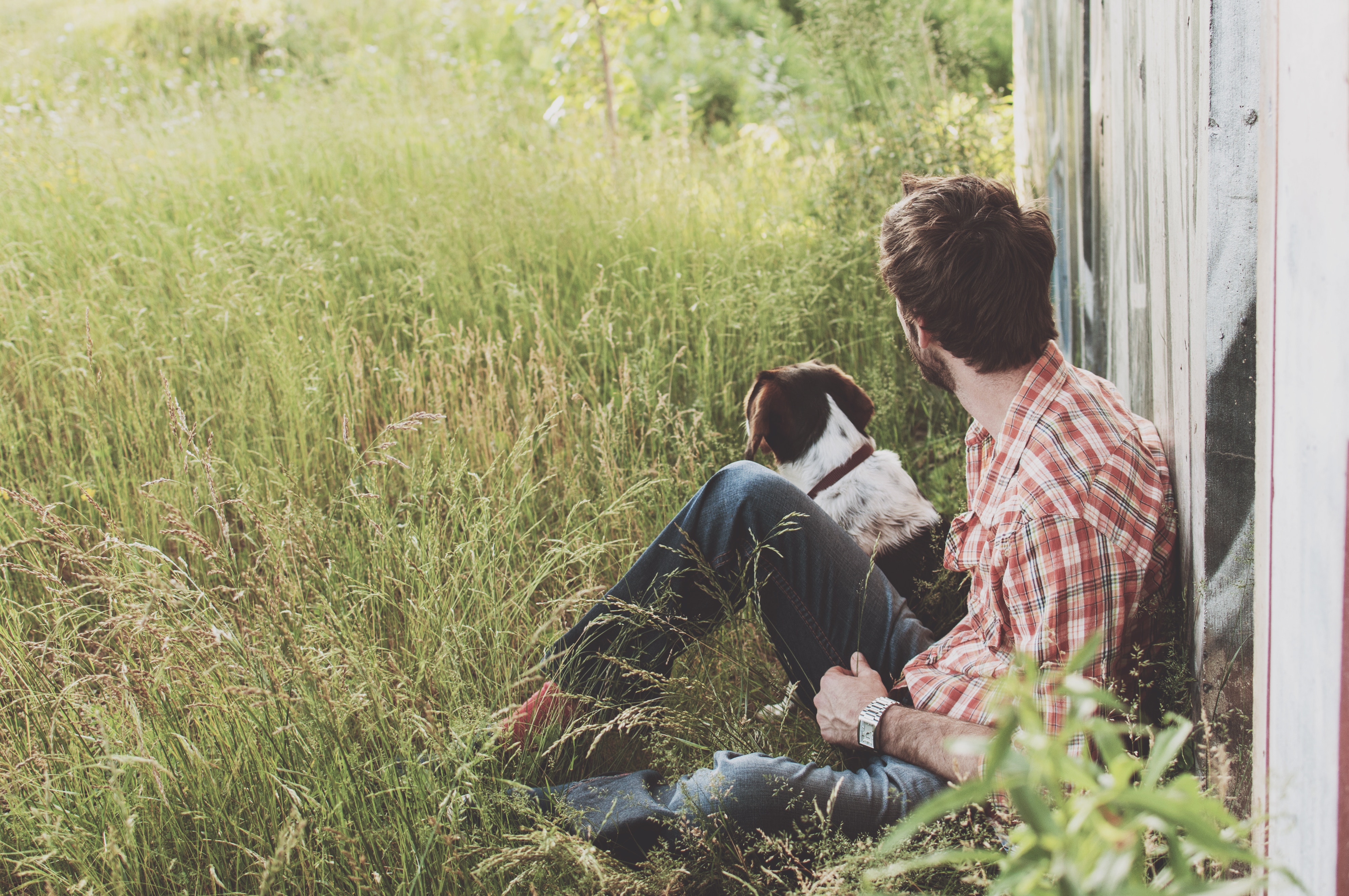 Man and dog sitting by a concrete wall in tall grass HD Wallpaper