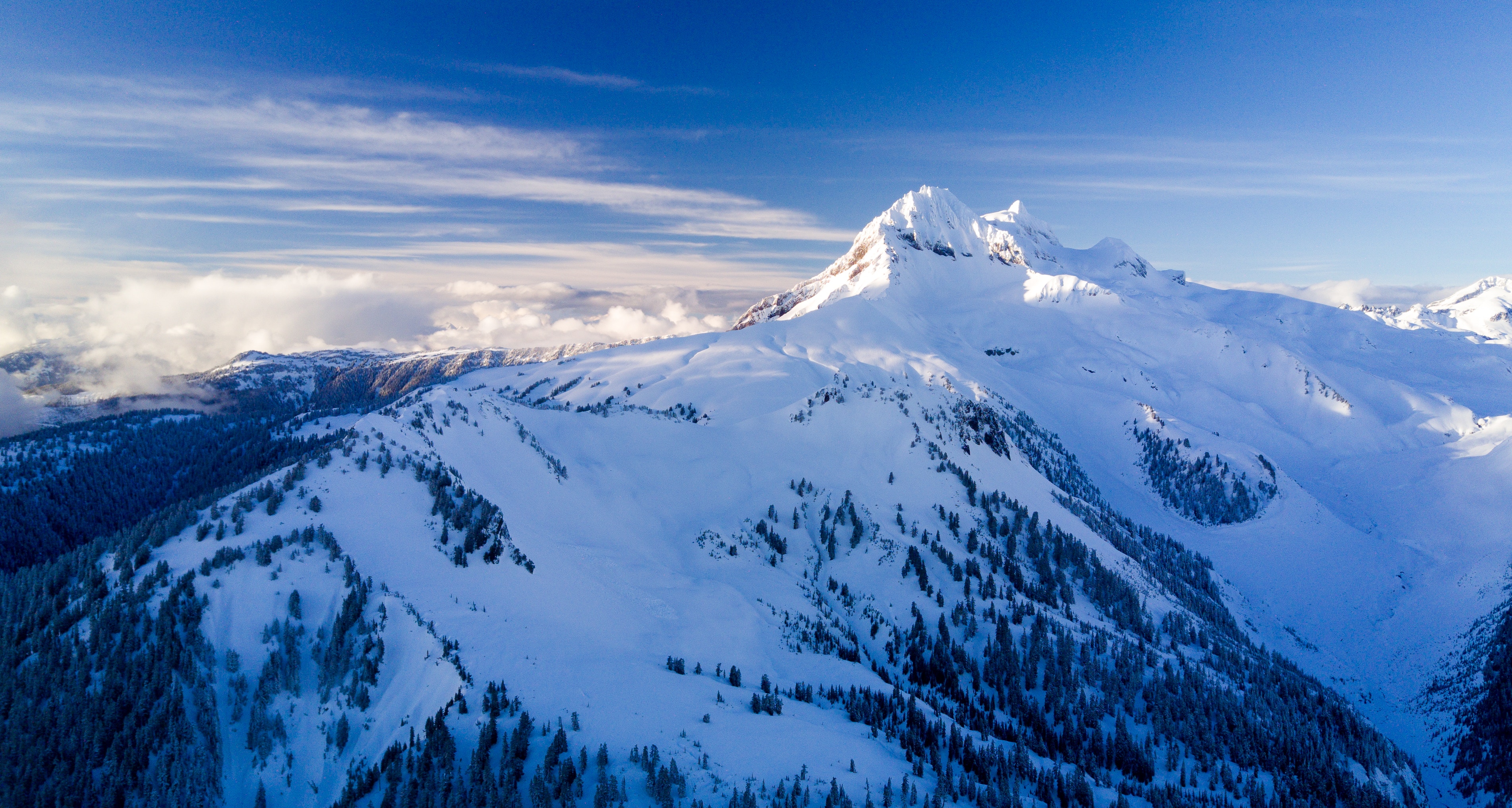 Snow-covered mountain range with trees under a blue sky HD Wallpaper