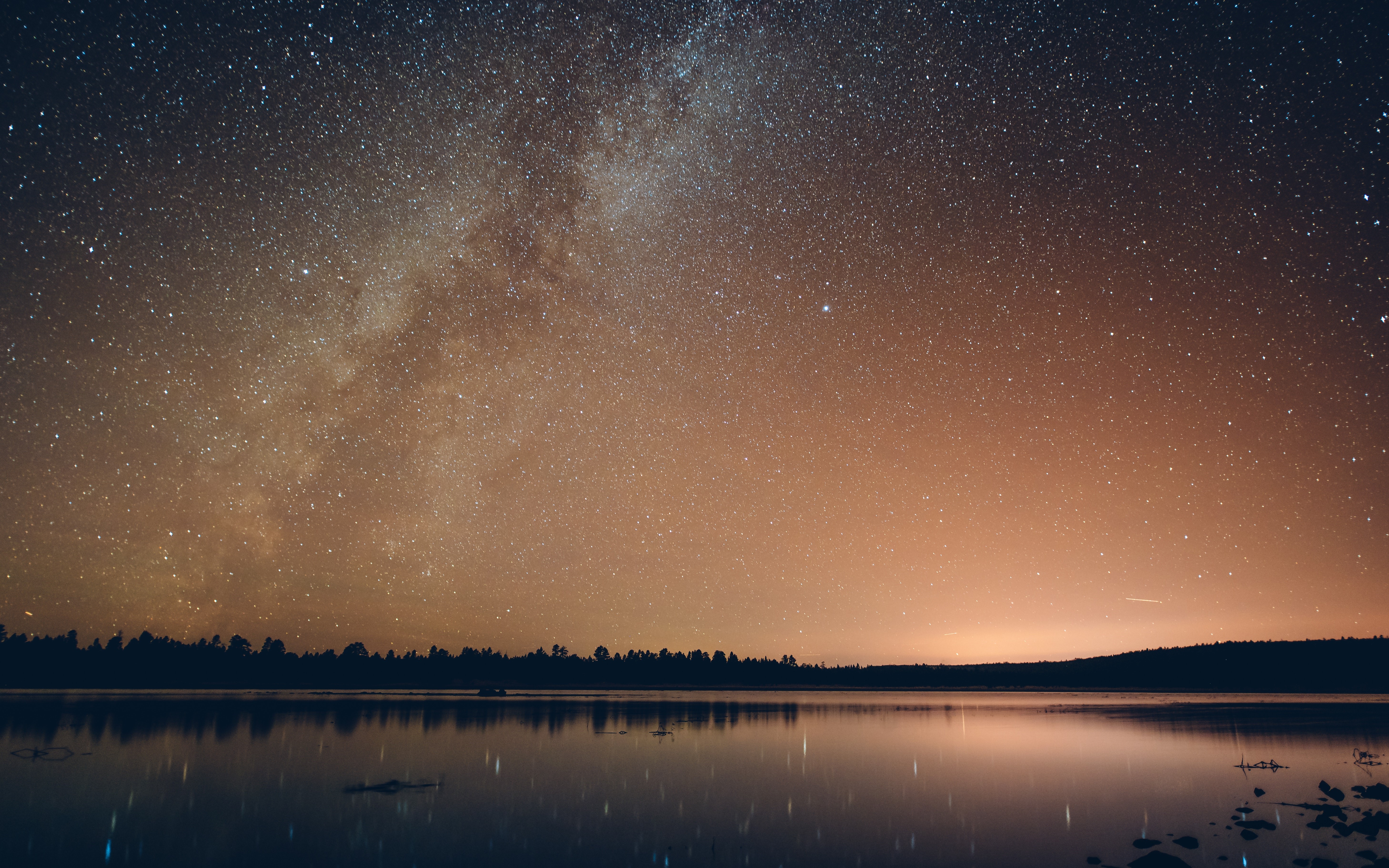 Starry night sky over a calm lake and forest HD Wallpaper