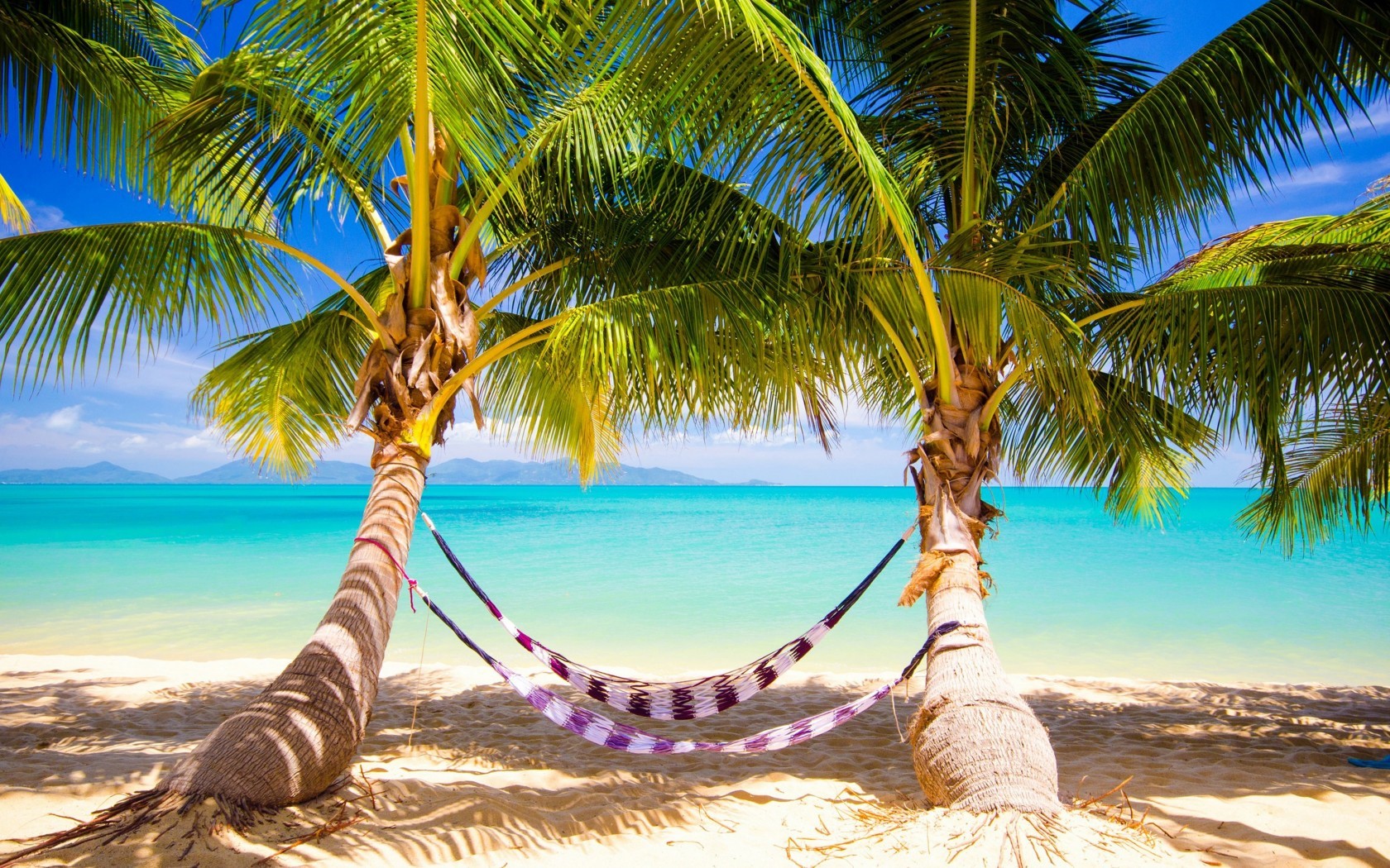 Hammocks between palm trees on a tropical beach HD Wallpaper