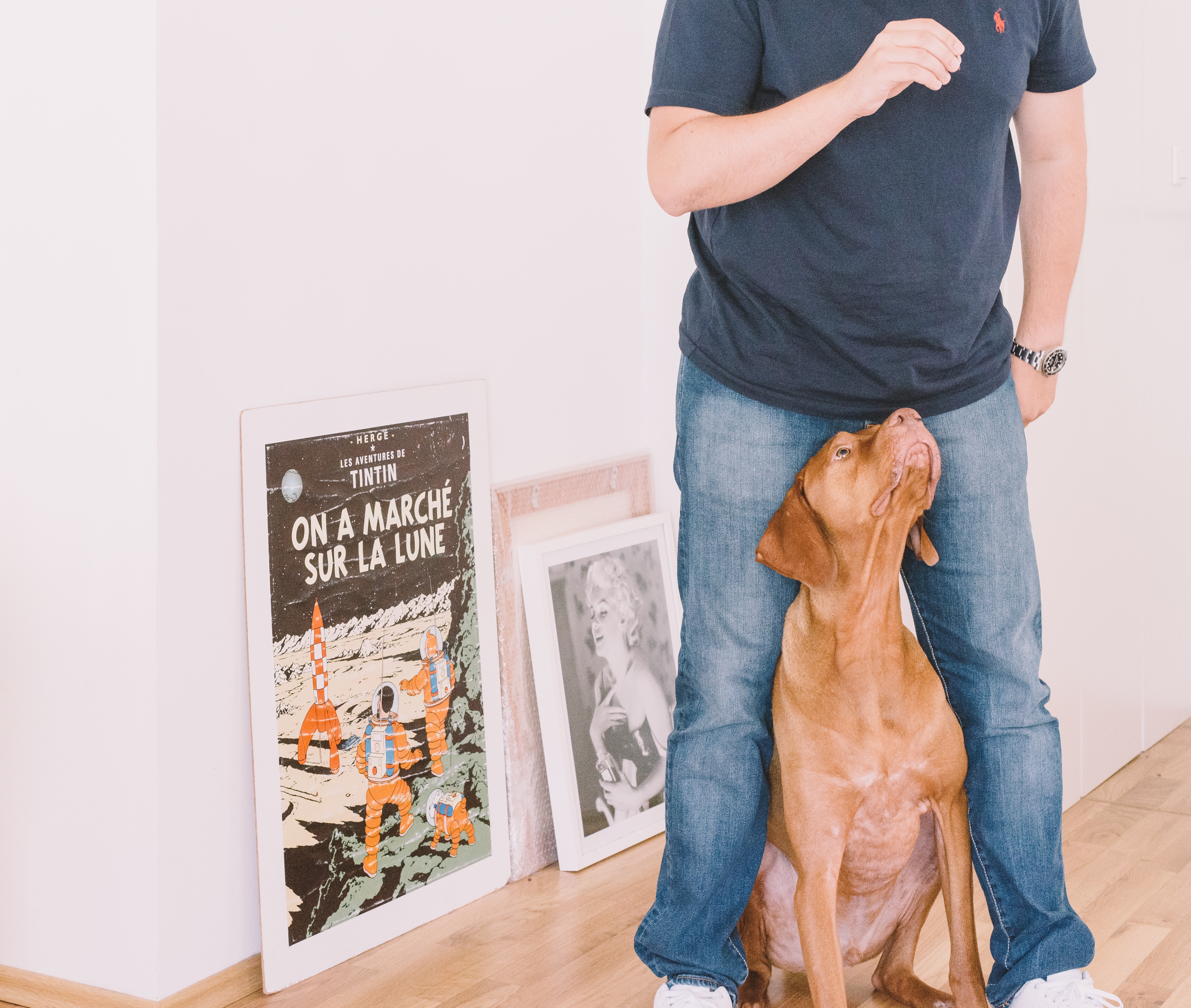 Man and dog looking up at a poster HD Wallpaper
