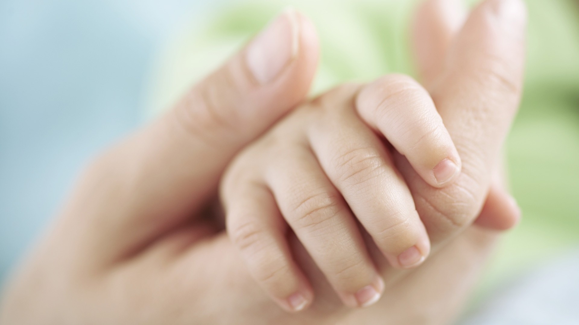 Baby's Hand Holding Adult Finger HD Wallpaper