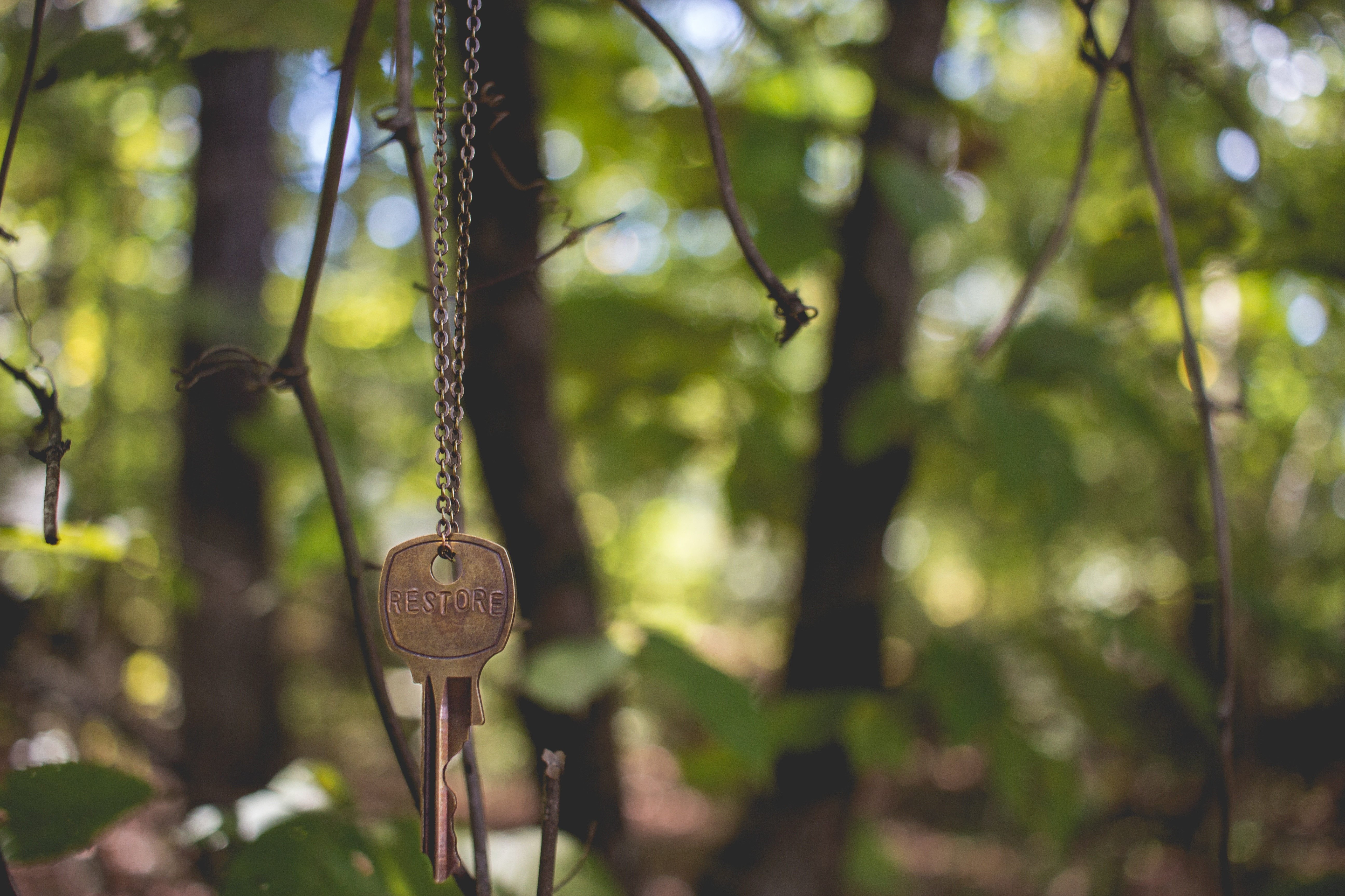A key with the word RESTORE hangs on a chain in a forest. HD Wallpaper