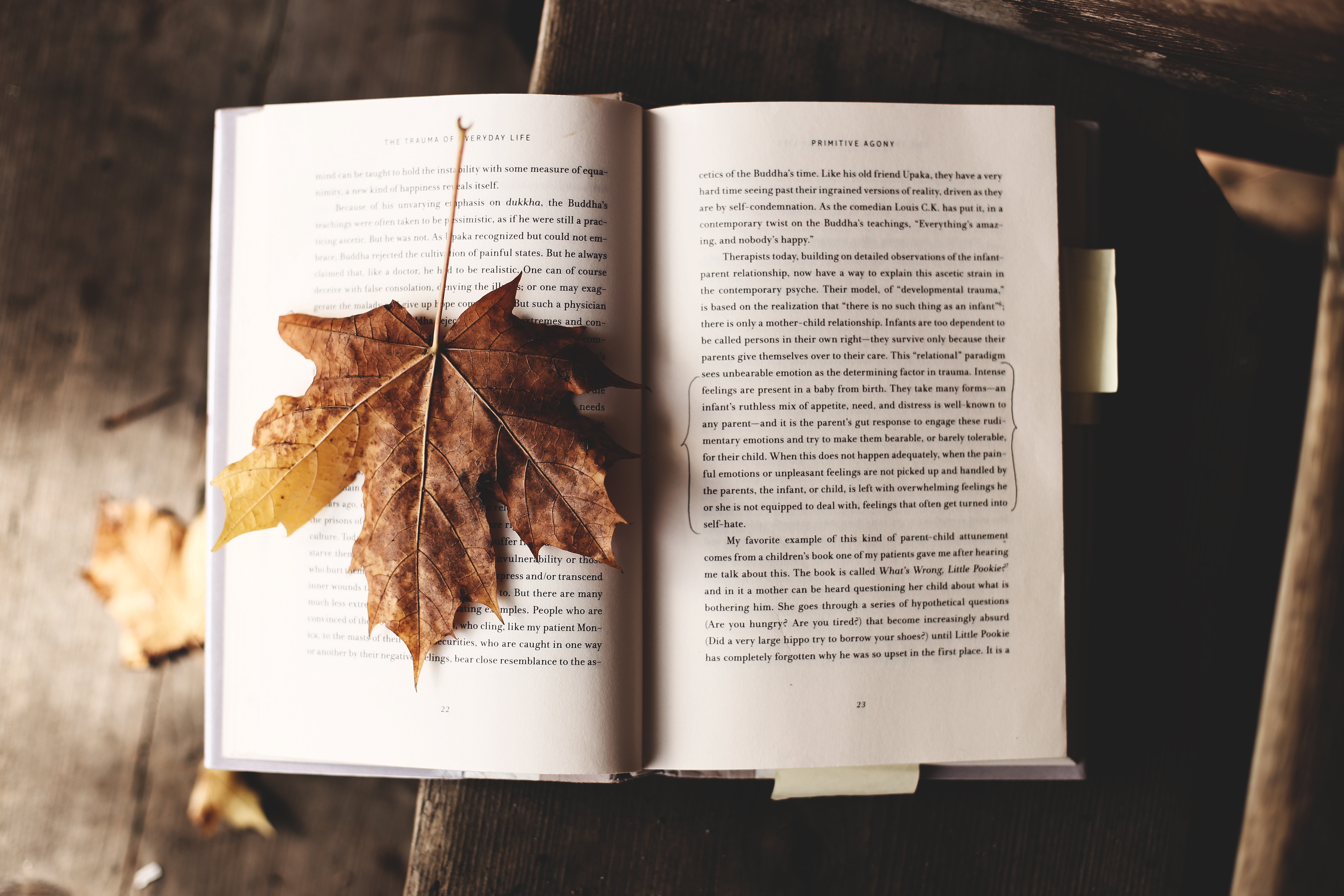Open book with maple leaf on wooden surface HD Wallpaper